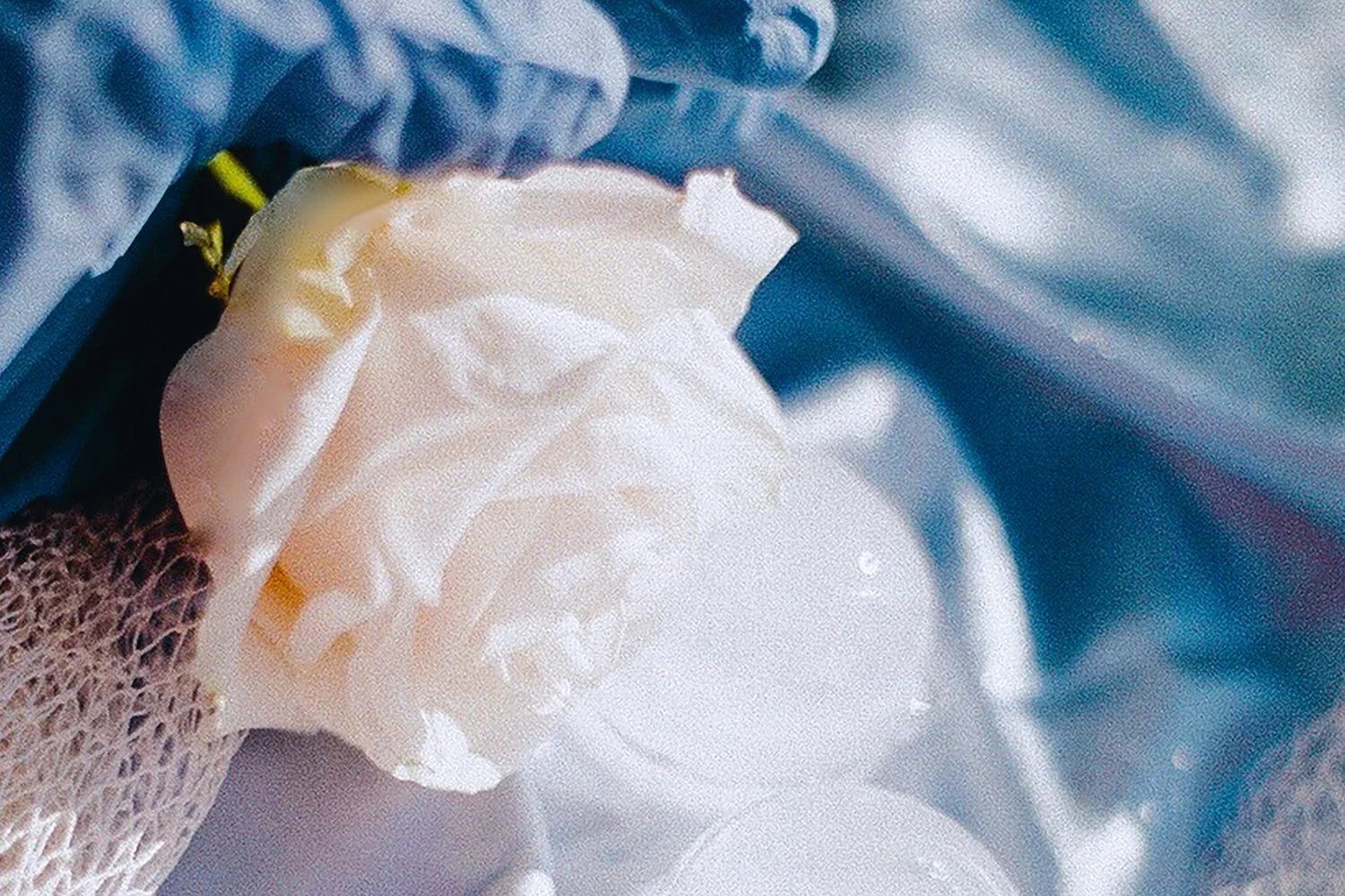 Stillness and Transformation