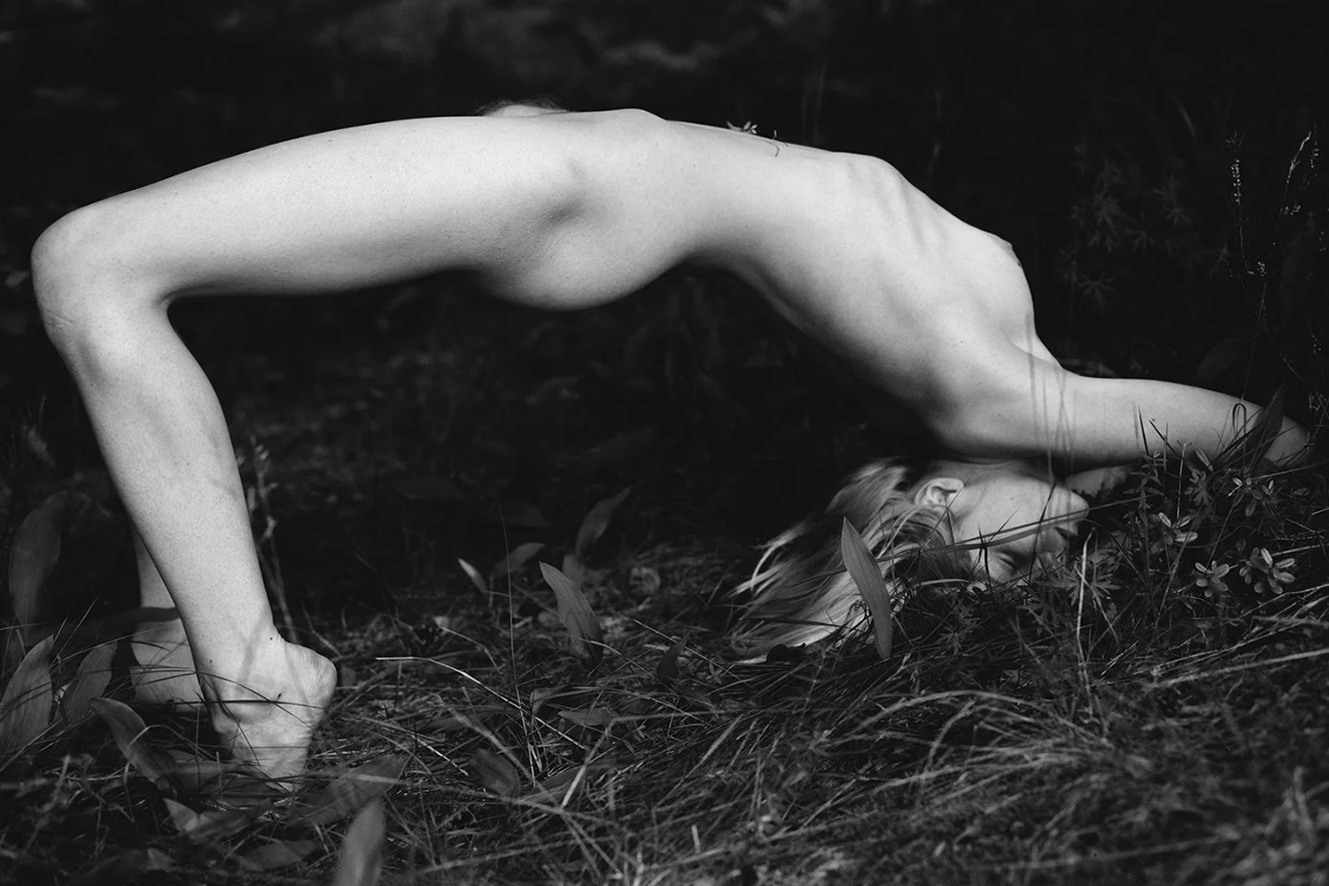 Massimo Leardini — Figures in Landscape