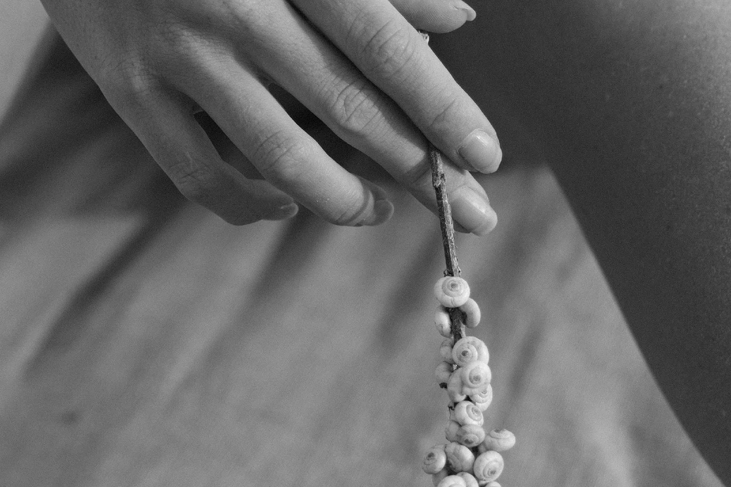 Charlotte Lapalus — Perseverance