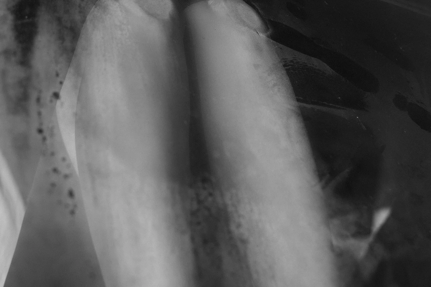 Charlotte Lapalus — Perseverance