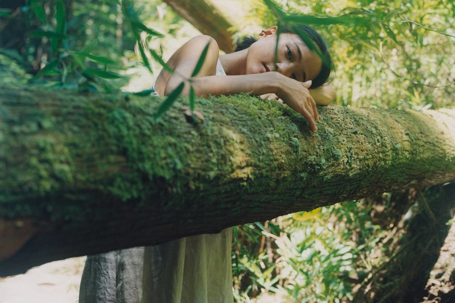 Dr. Hauschka — Komorebi