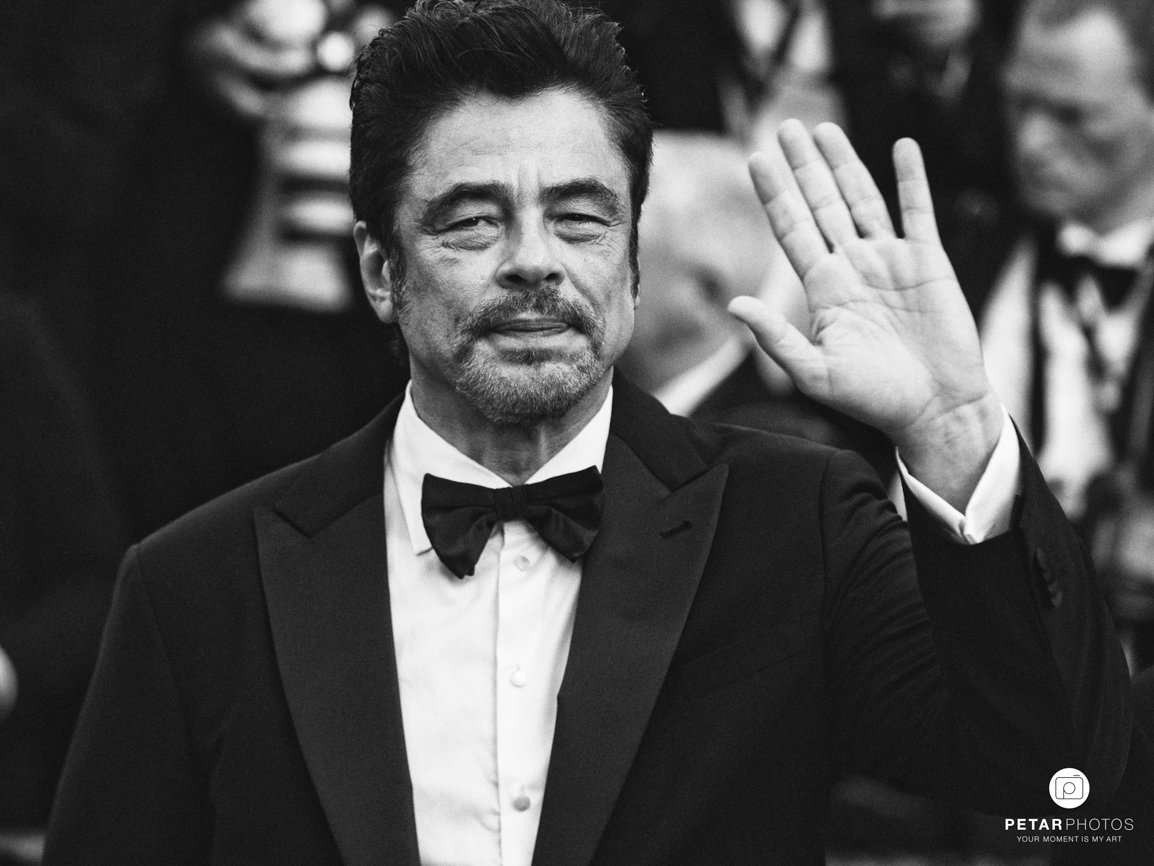 FESTICAL DE CANNES BD-90.jpg