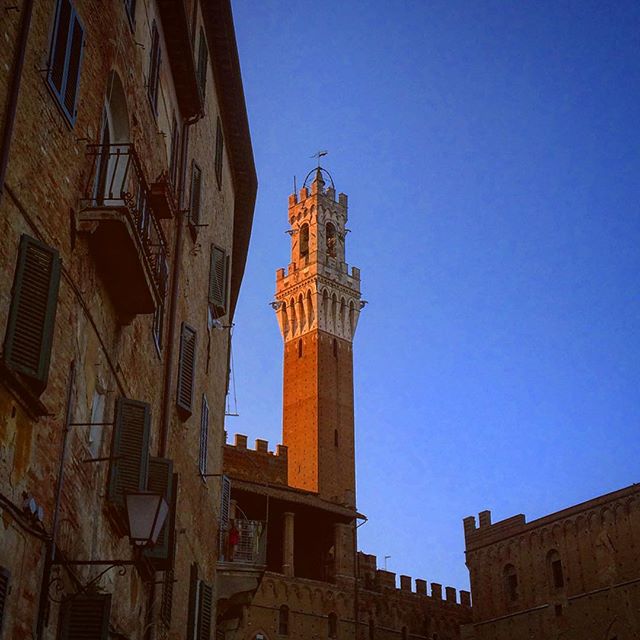 #siena