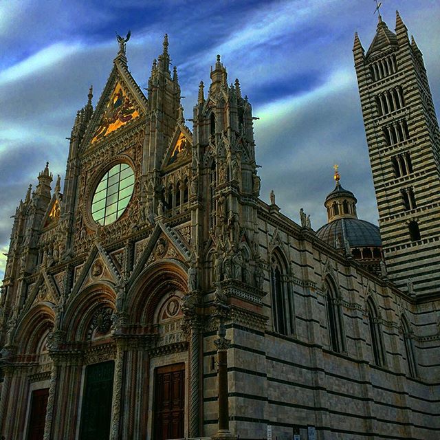 #siena