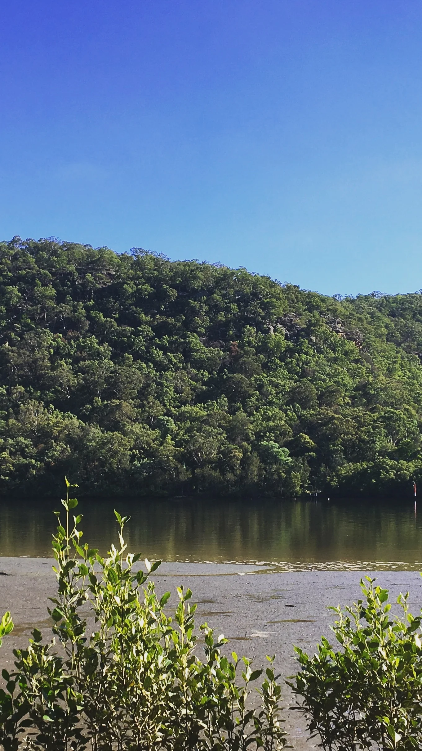 Gunderman - Lead Sheet