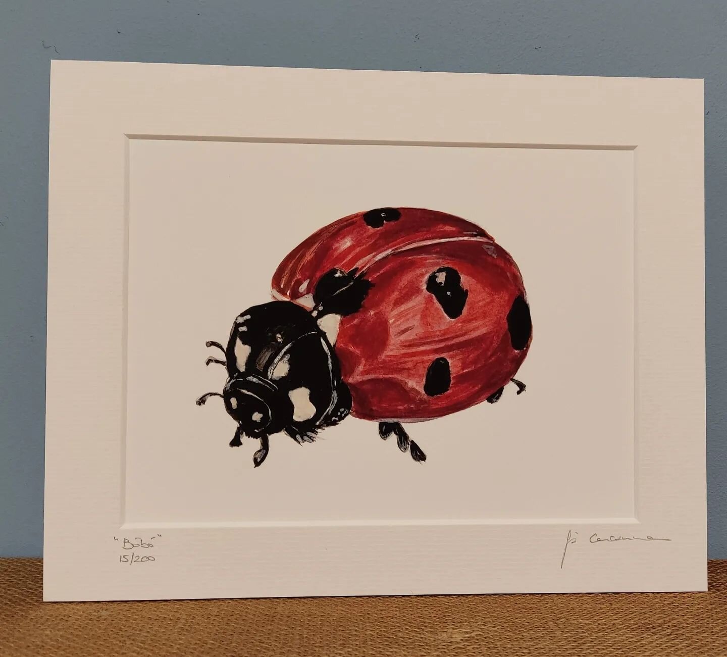Look at this beauty by @fiona.concannonartist. Picked it up in @airmidireland this morning on my way back from The Cliffs. Couldn't resist as I put a ladybird on every one of my pieces how could I not get it. Can't wait to frame it 🐞