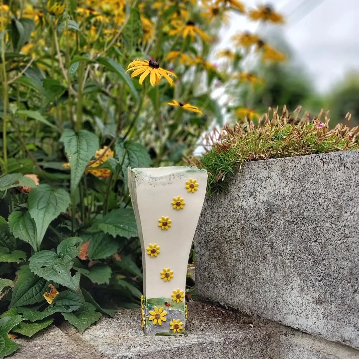 Garden inspiration 🌻
Ceramics rooted in the peace and beauty of the Irish countryside.
Grounding you in nature, memories and home 💜
. 
#handmade #irishcraft #homedecor