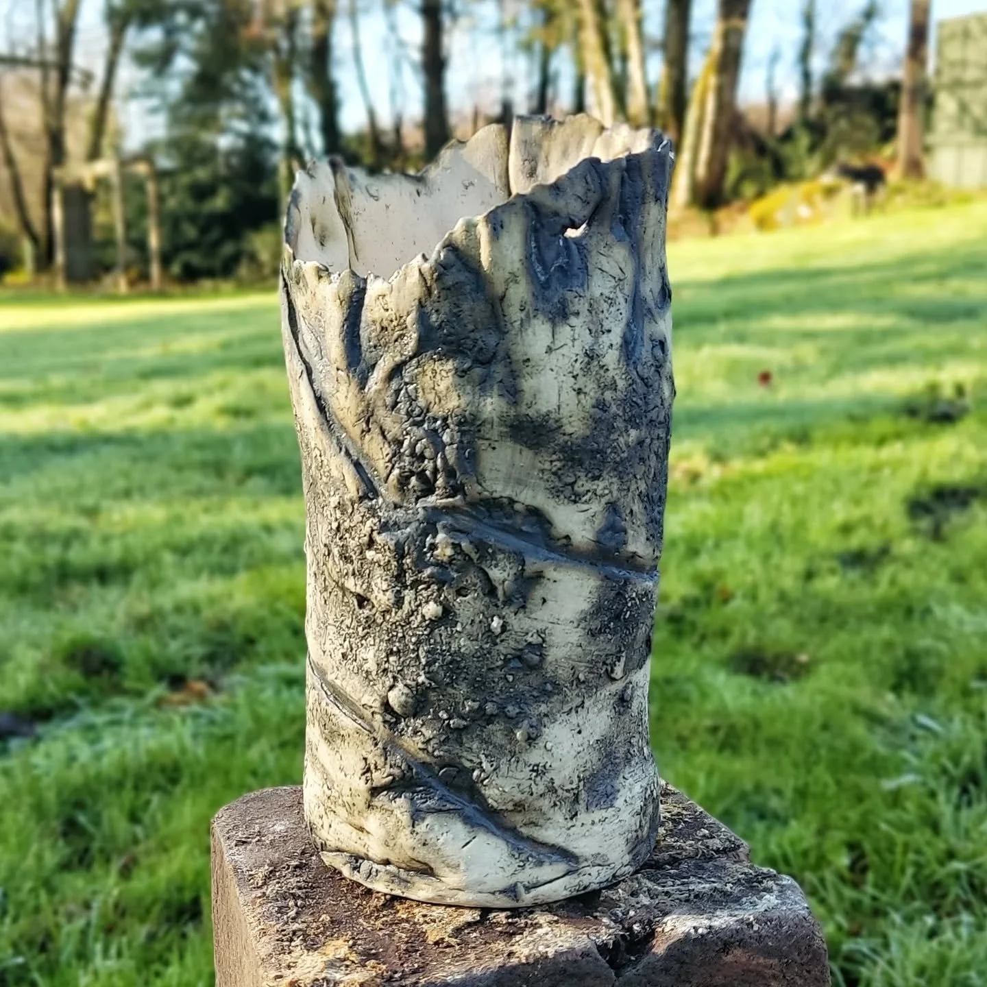 In my new work, I am exploring the textures of the surrounding landscape&mdash;the rugged, unrefined beauty of the soil and the earth. While much of my work celebrates the vibrant resilience of wildflowers, this work is a tribute to the source. It is