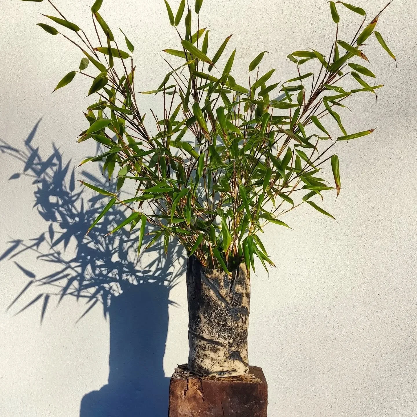 In this vase, I am exploring the textures of the surrounding landscape, the rugged, unrefined beauty of the soil and the earth. While much of my work celebrates the vibrant resilience of wildflowers, this vase is a tribute to the source. It is about 