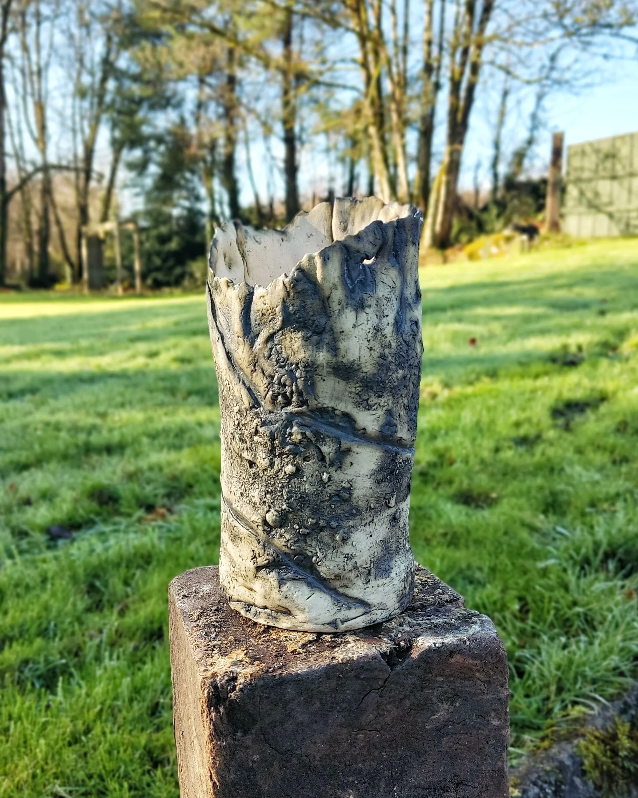 TV outside front.jpeg