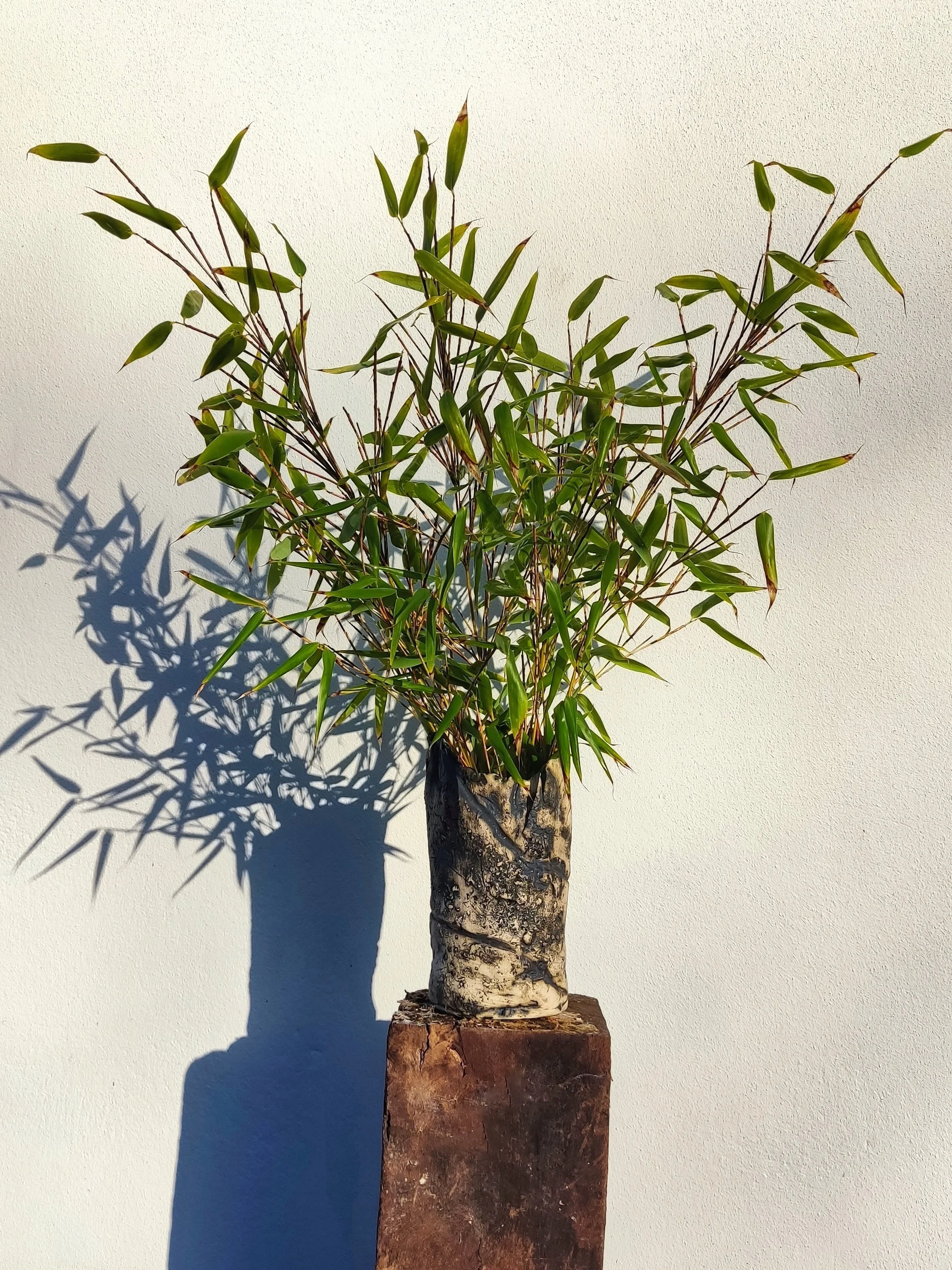 Textured Vase w Bamboo.jpeg