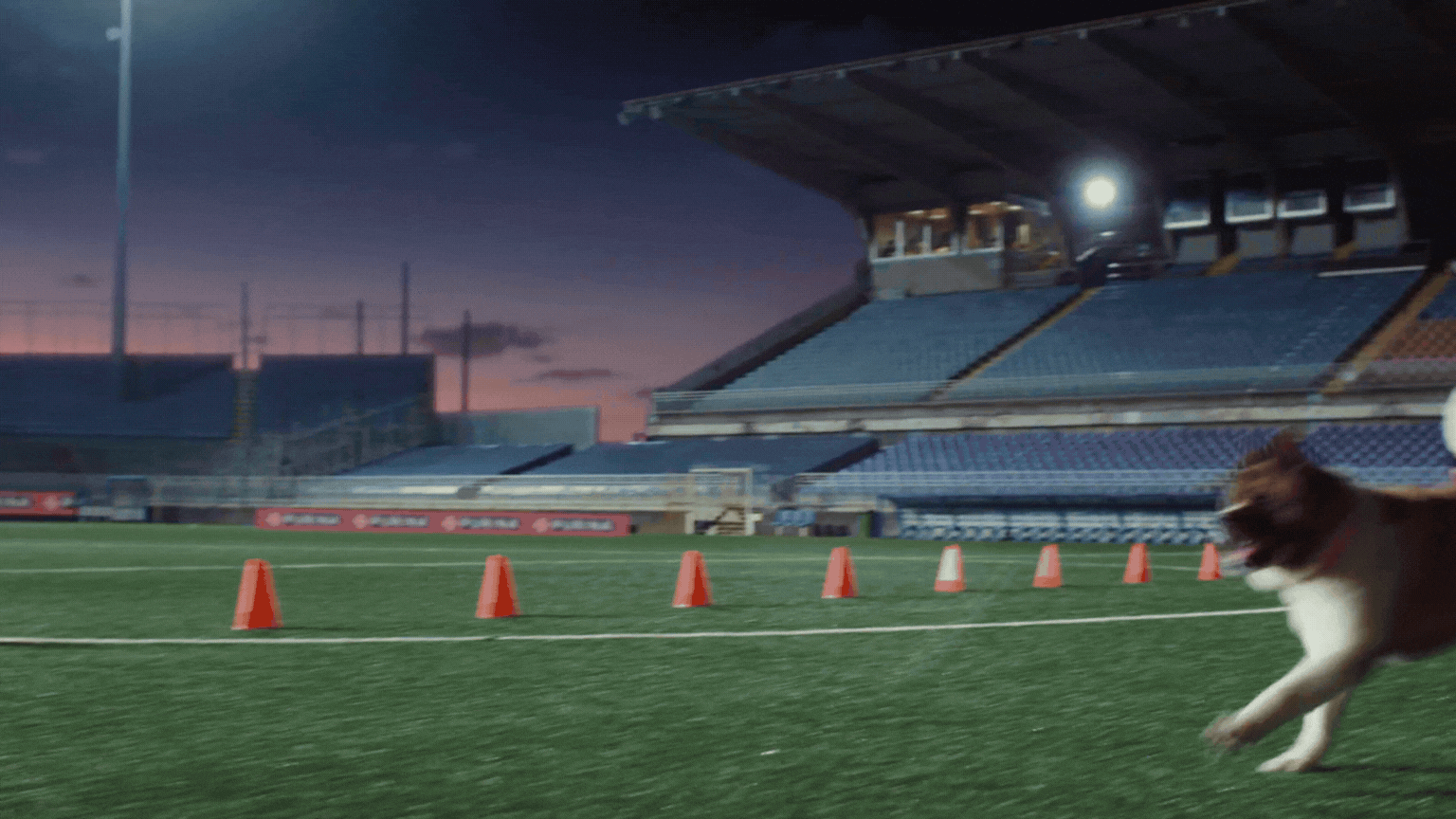 Purina - US Soccer