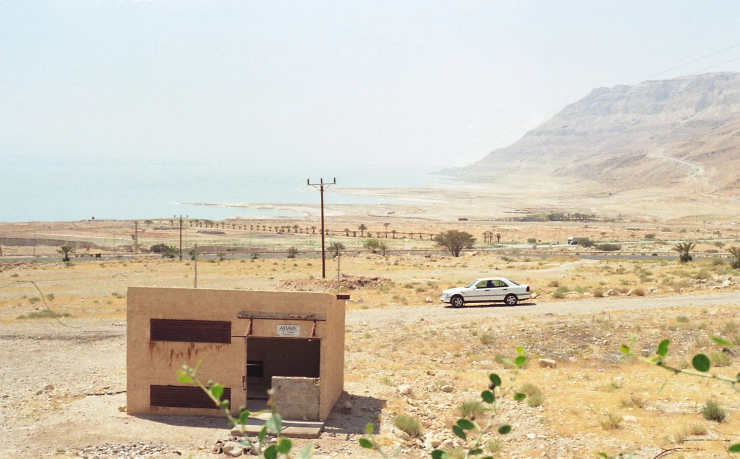 ahava