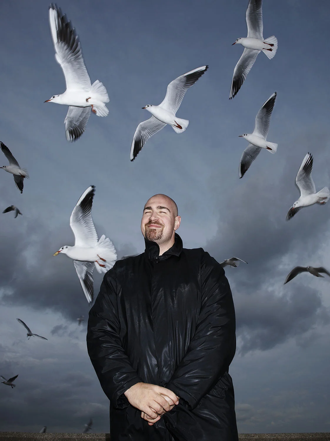 bouncer with seagulls