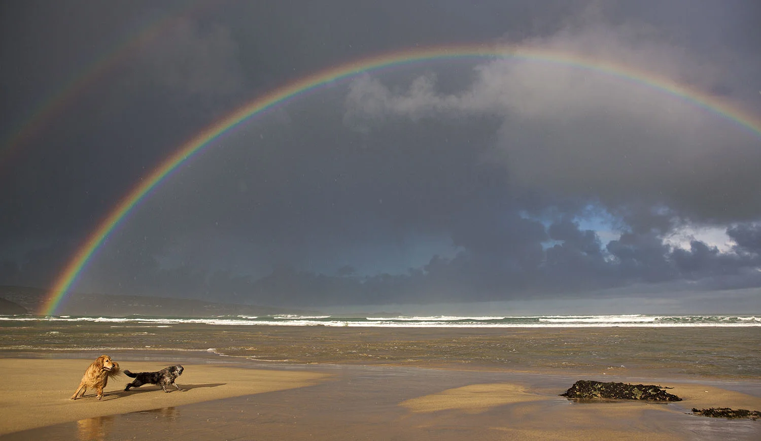 rainbow.jpg