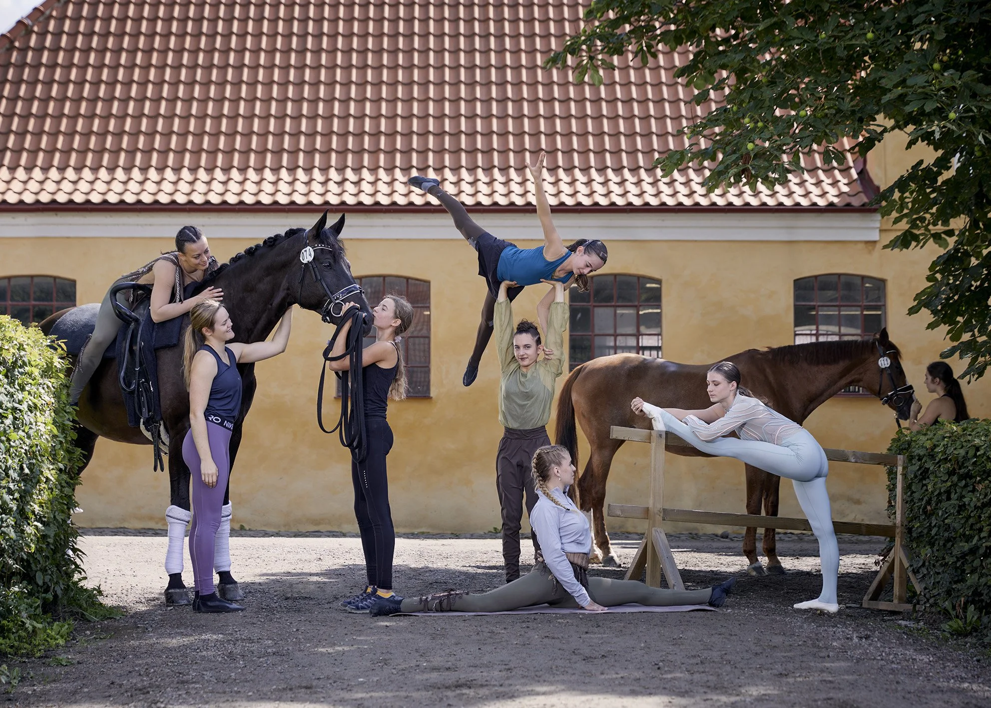 Vaulting group shot