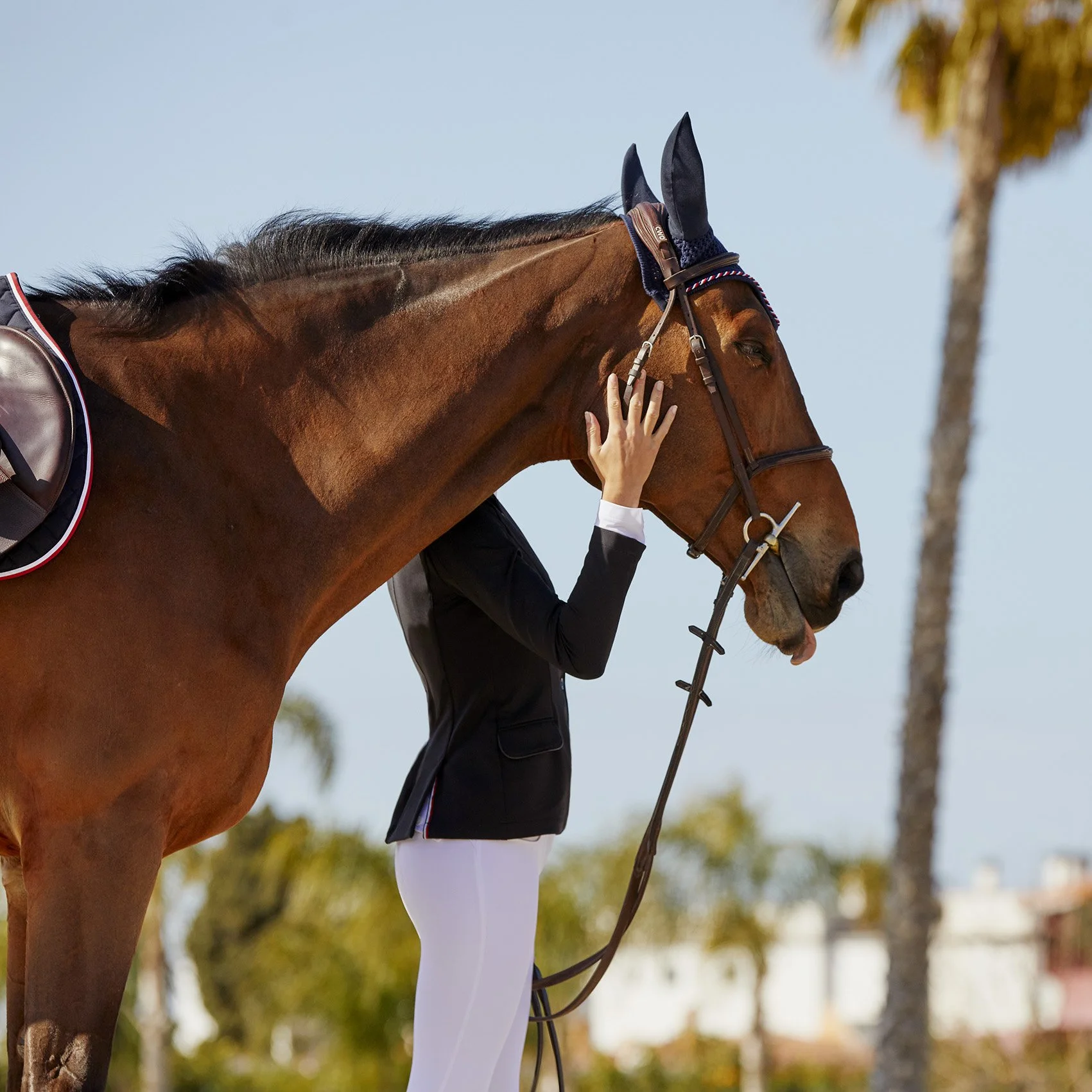 Tommy Hilfiger Equestrian 9