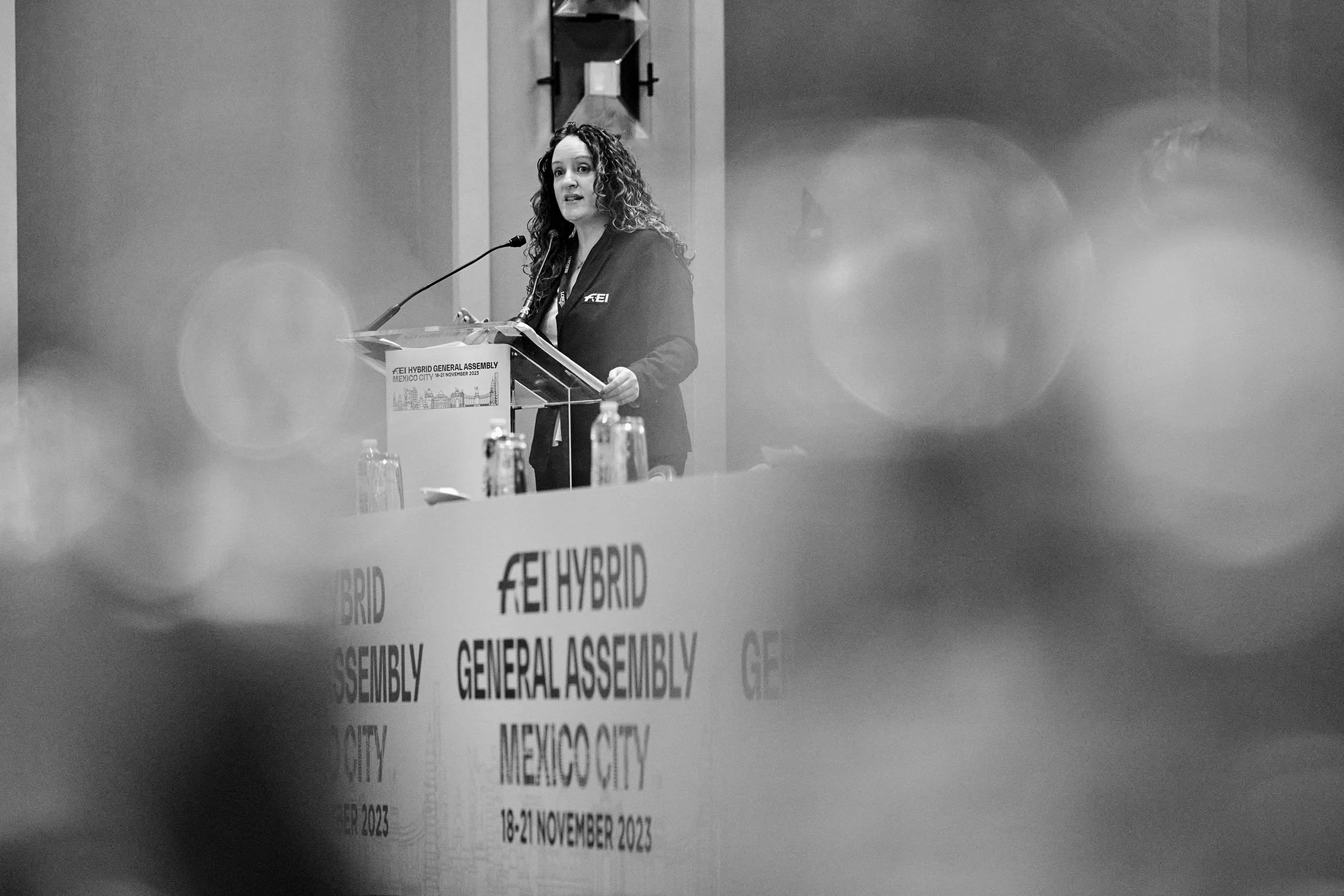 FEI General Assembly 2023 3