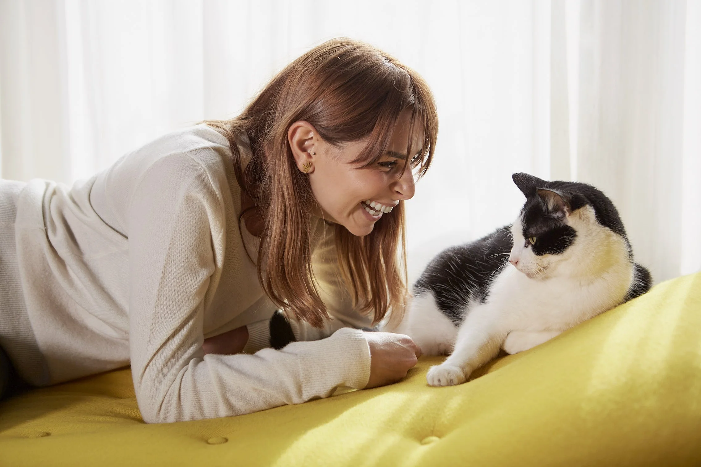 Marketing photo for Flyway, calming product for cats