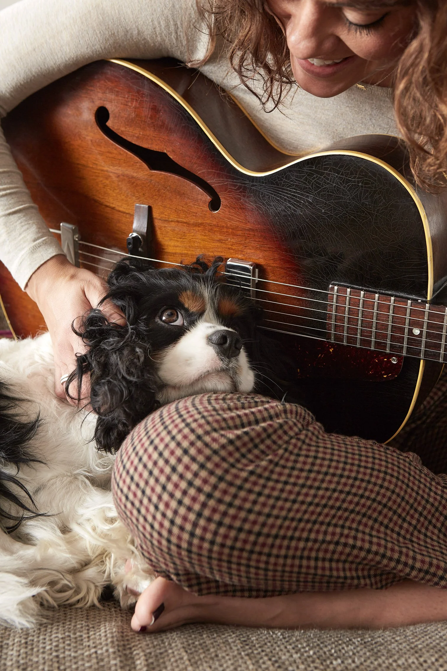 Marketing photo of a dog with his owner for Adaptil, dog calming product.