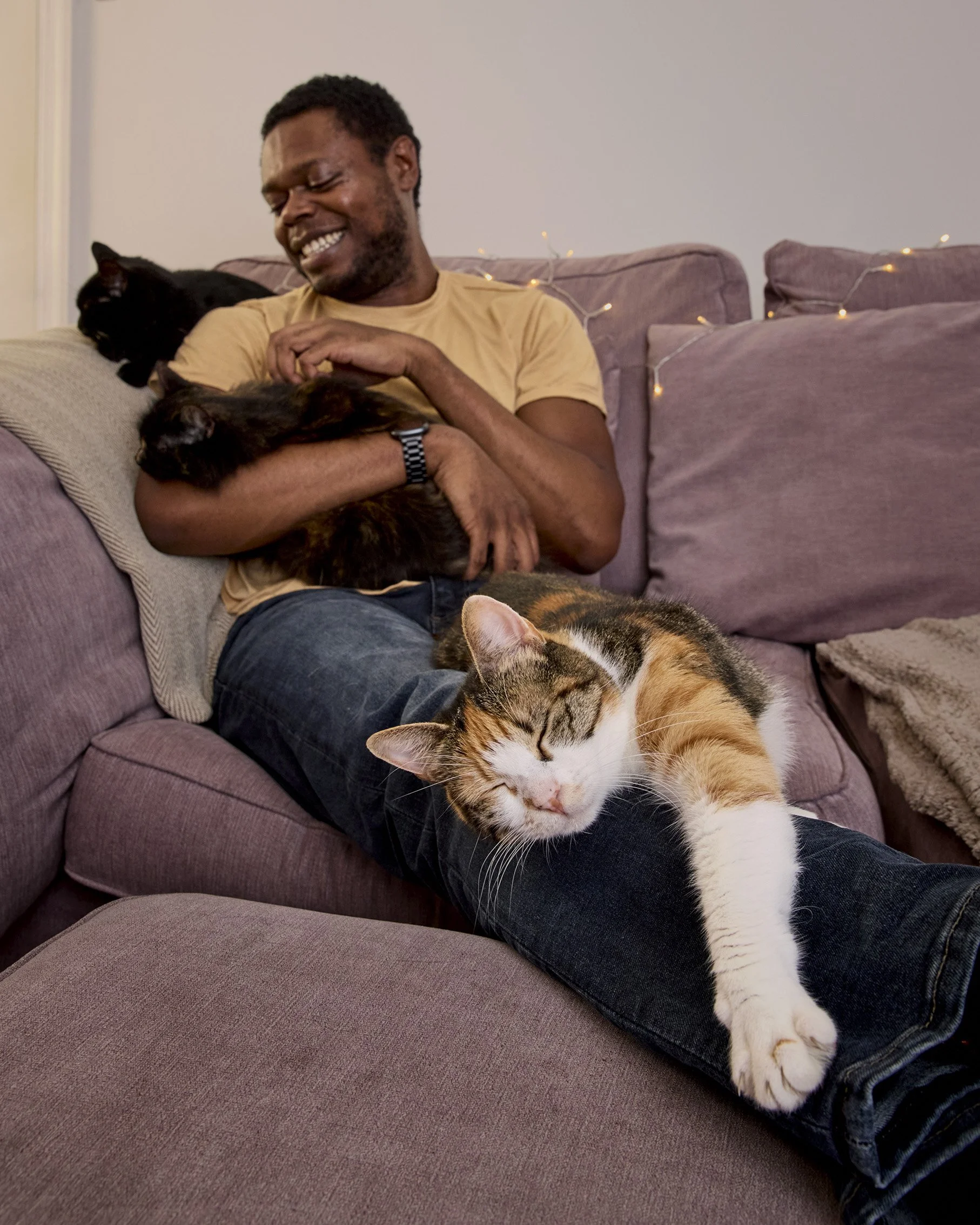 Lily's Kitchen Welcome to Lapland 2