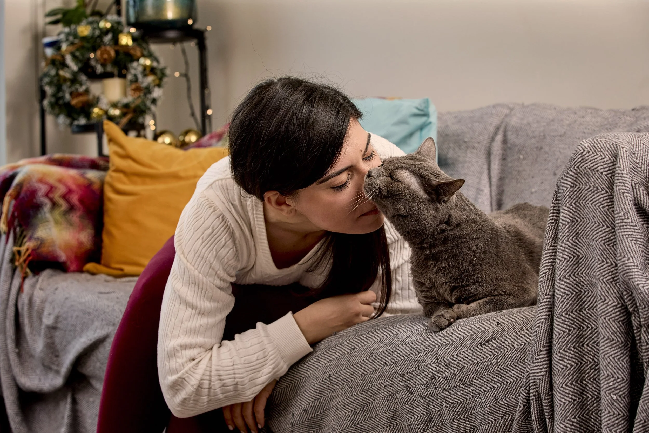 Lily's Kitchen Welcome to Lapland 3