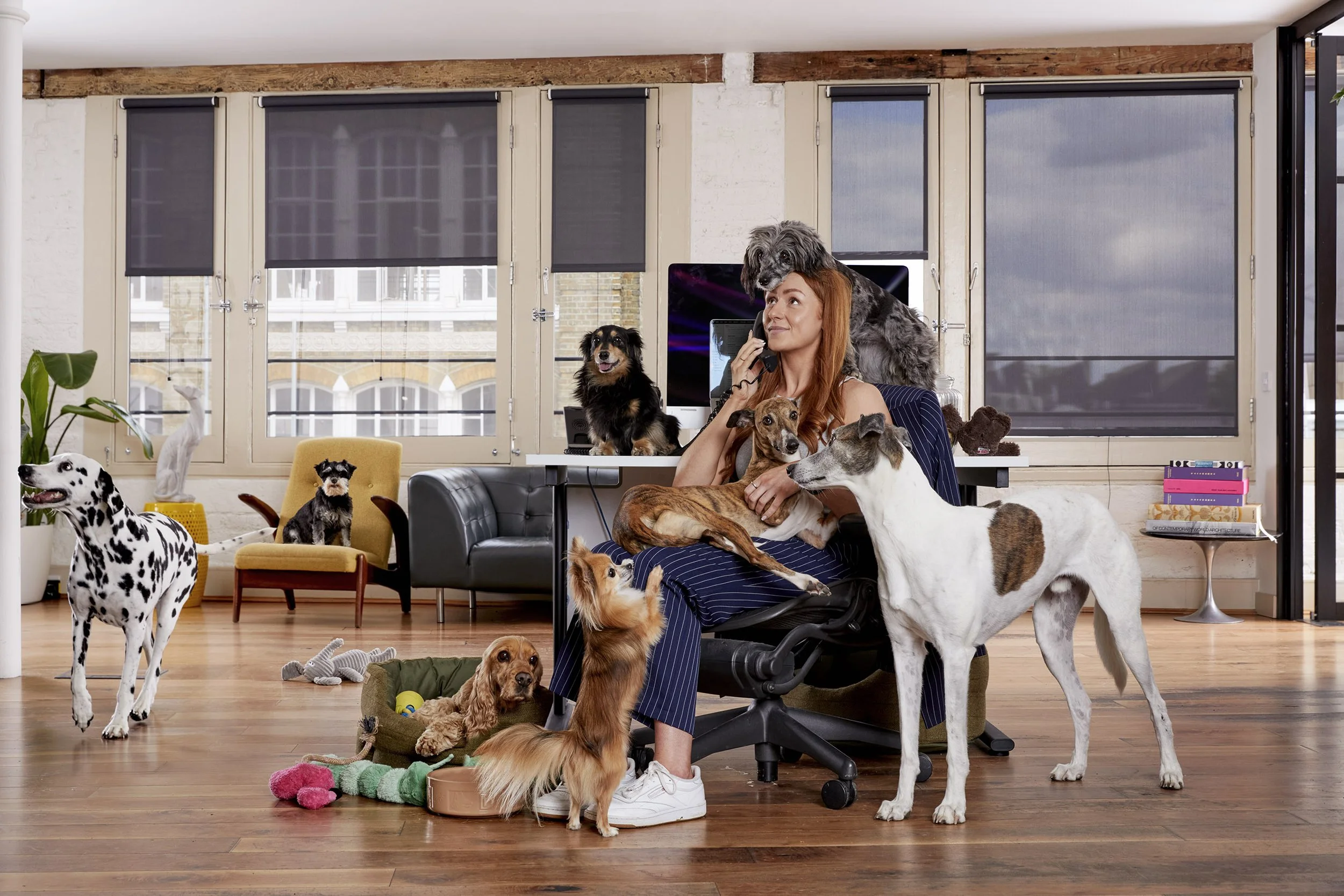 Lily's Kitchen Office 3