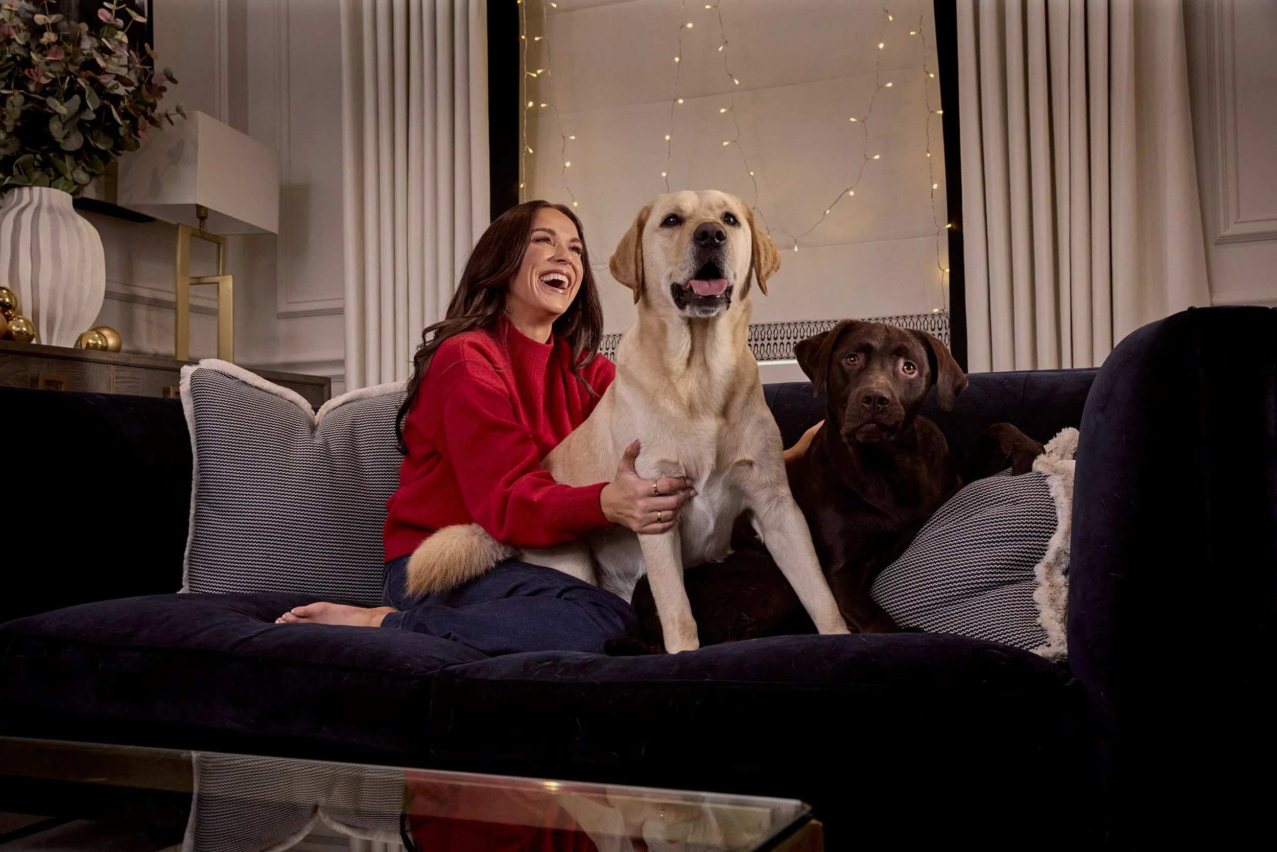 Lily's Kitchen Welcome to Lapland 13