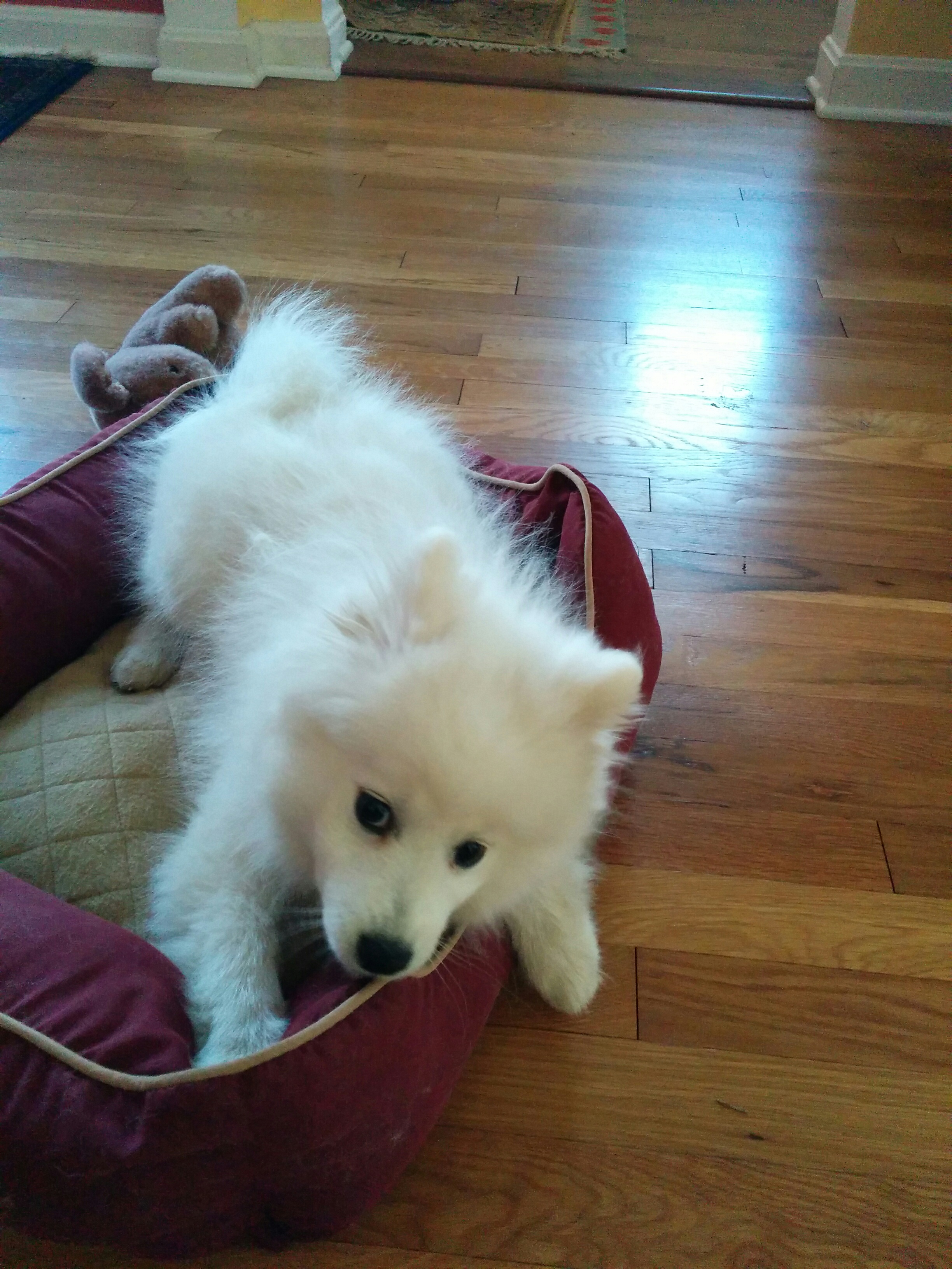 Eva, as a youngster