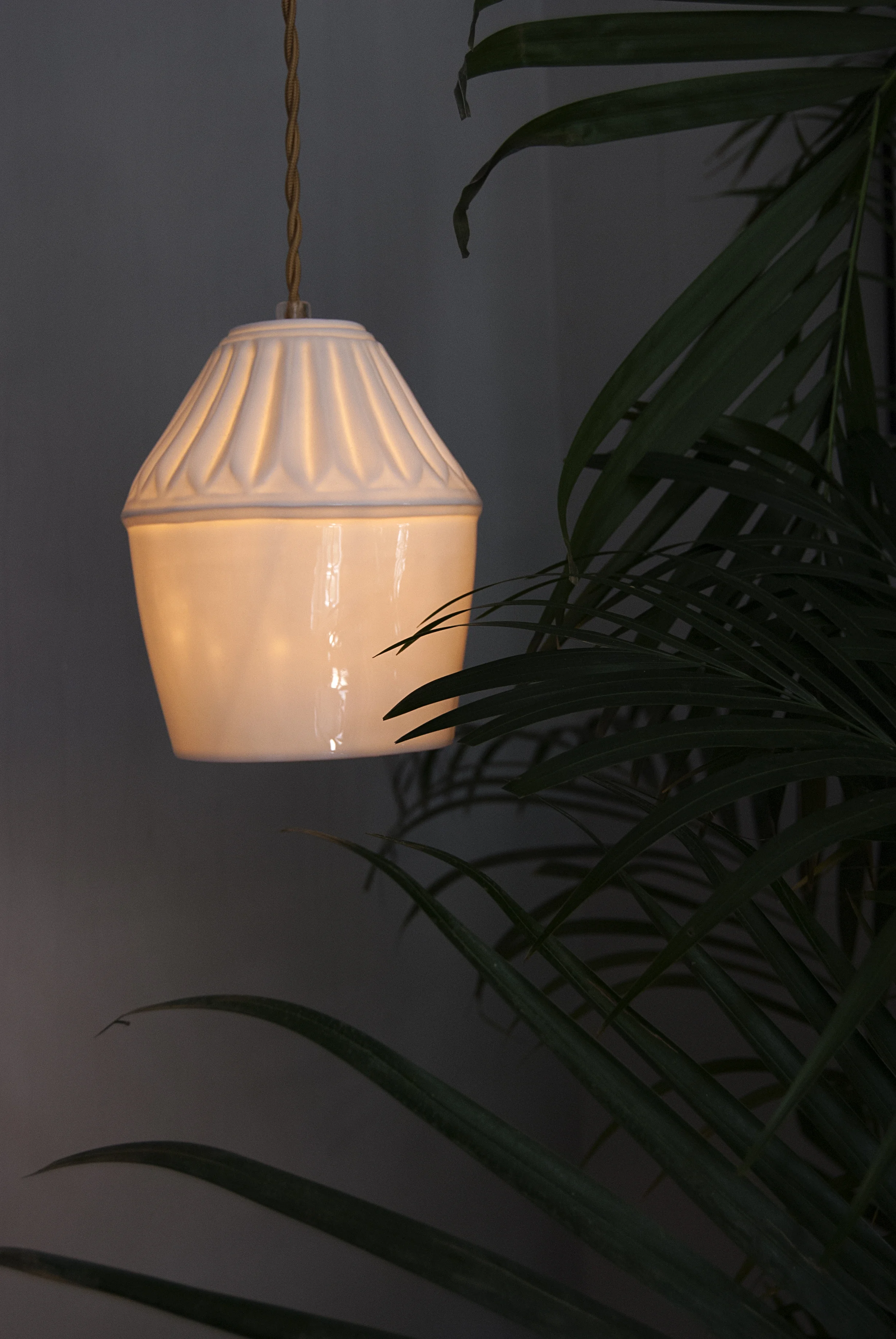 Siam plante.jpg