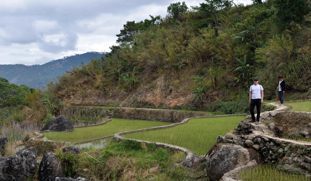 Evan, exploring the rice terraces of Mt. Province