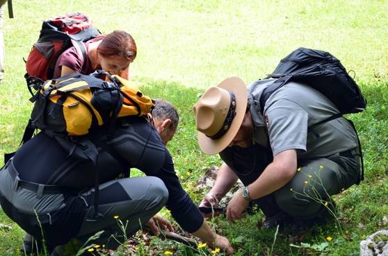  Ranger John Duwe works with local teachers to observe and record insects during the 2017 GeoBioBlitz event in Triglav National Park, Slovenia. 