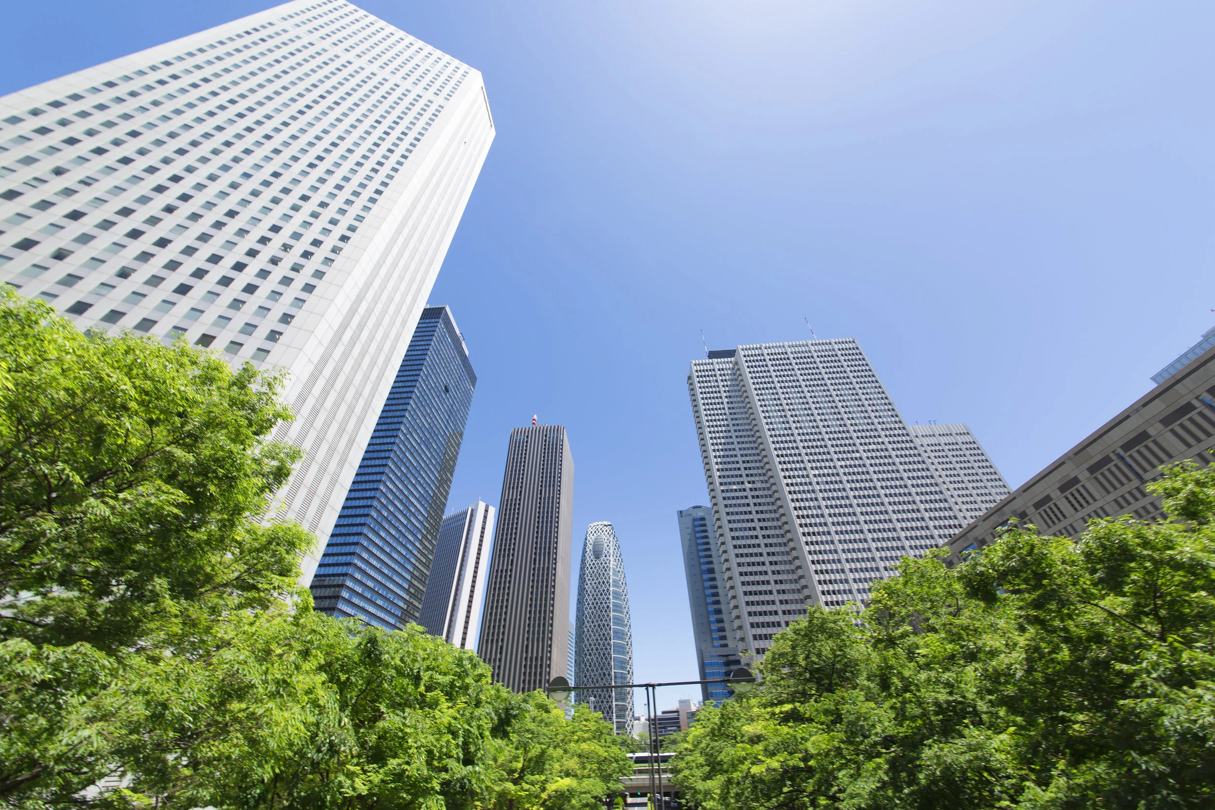 AdobeStock_114279682 (1).jpeg