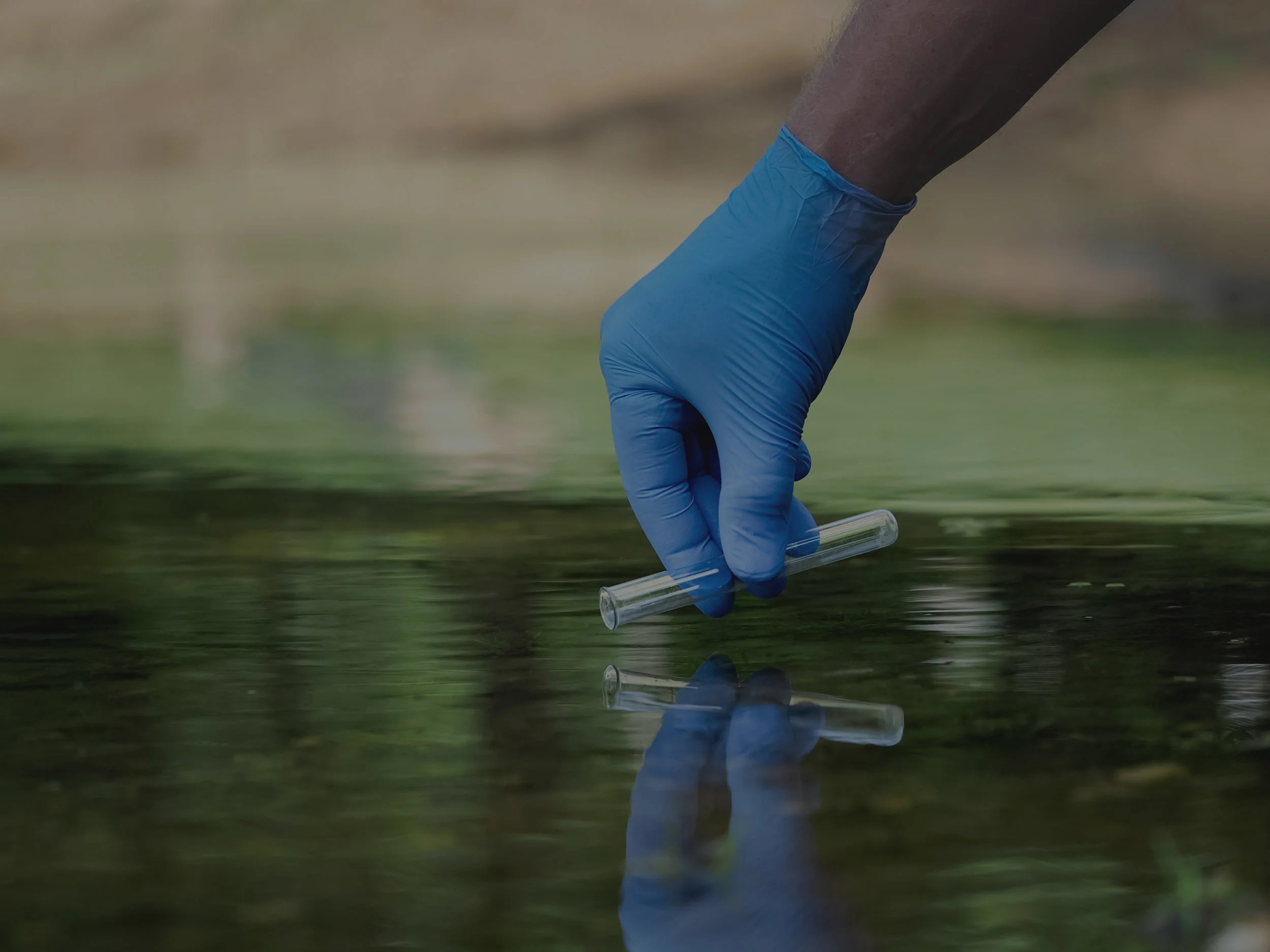 Wastewater_filter.jpg