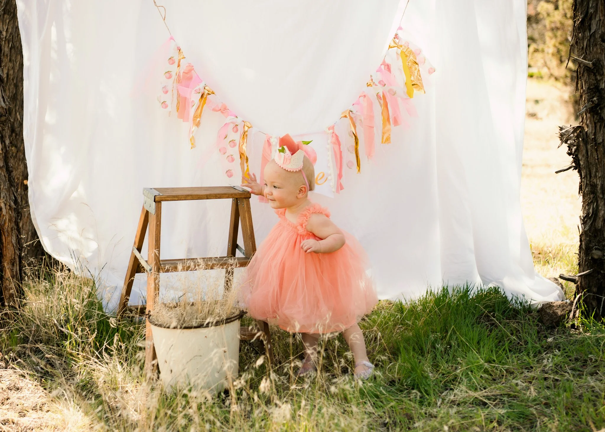A young girl in a peach-colored tutu dress and headband standing outdoors near a wooden ladder, with a white curtain, pink and gold paper tassel banner, and two trees in the background.