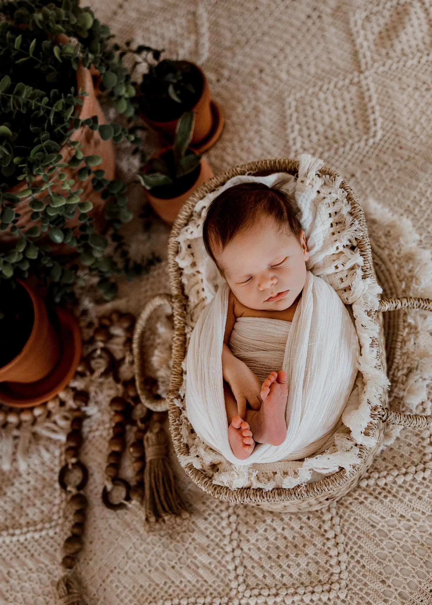 trinity lane photography-teddy-newborn-44.jpg