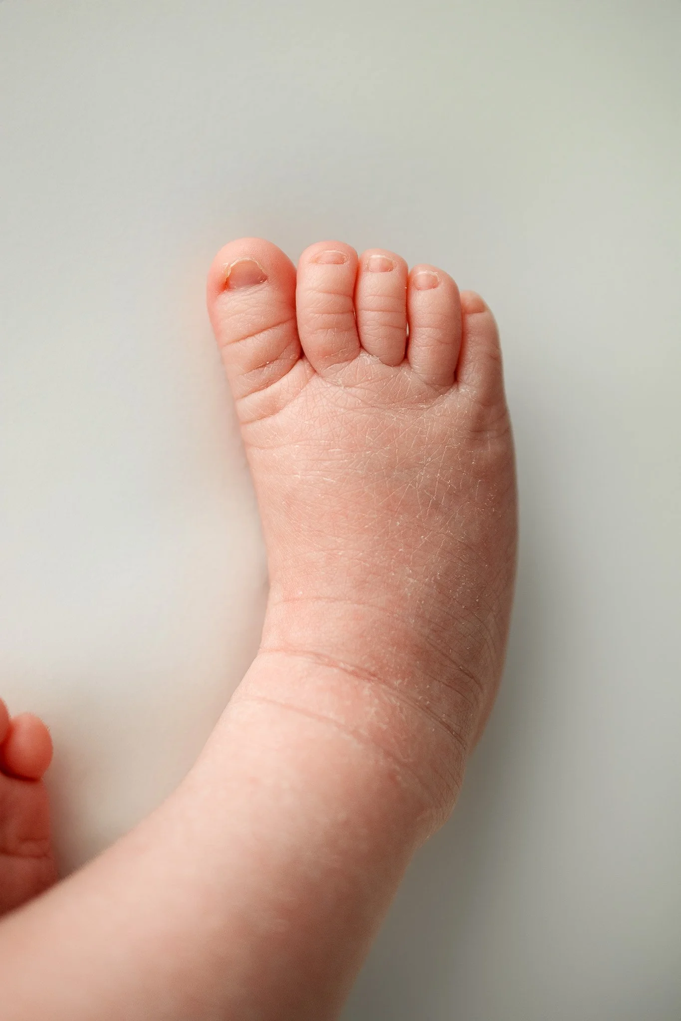 trinity lane photography-shepard-newborn-18-2.jpg