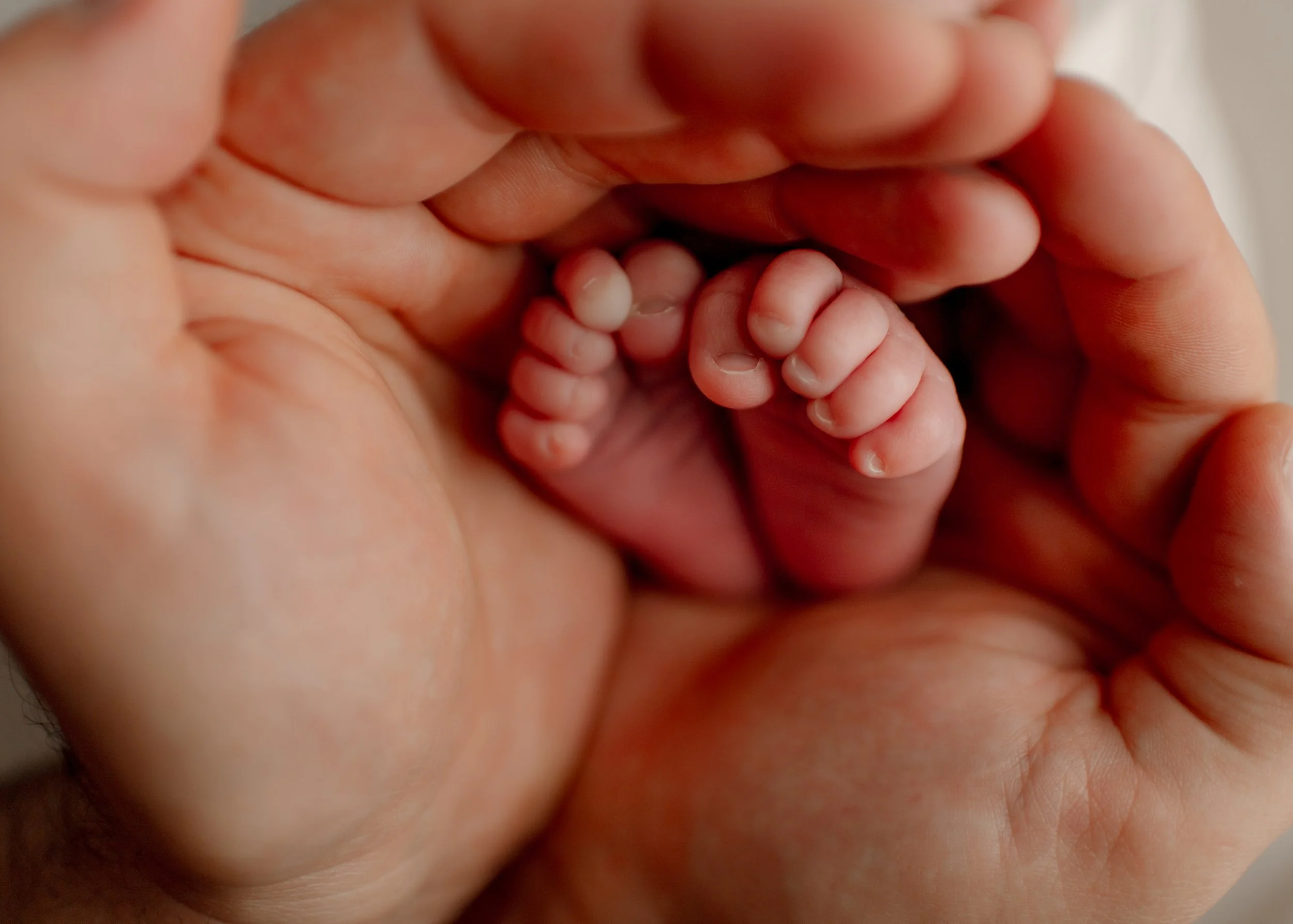 trinity lane photography-bennett-s-newborn-2.jpg