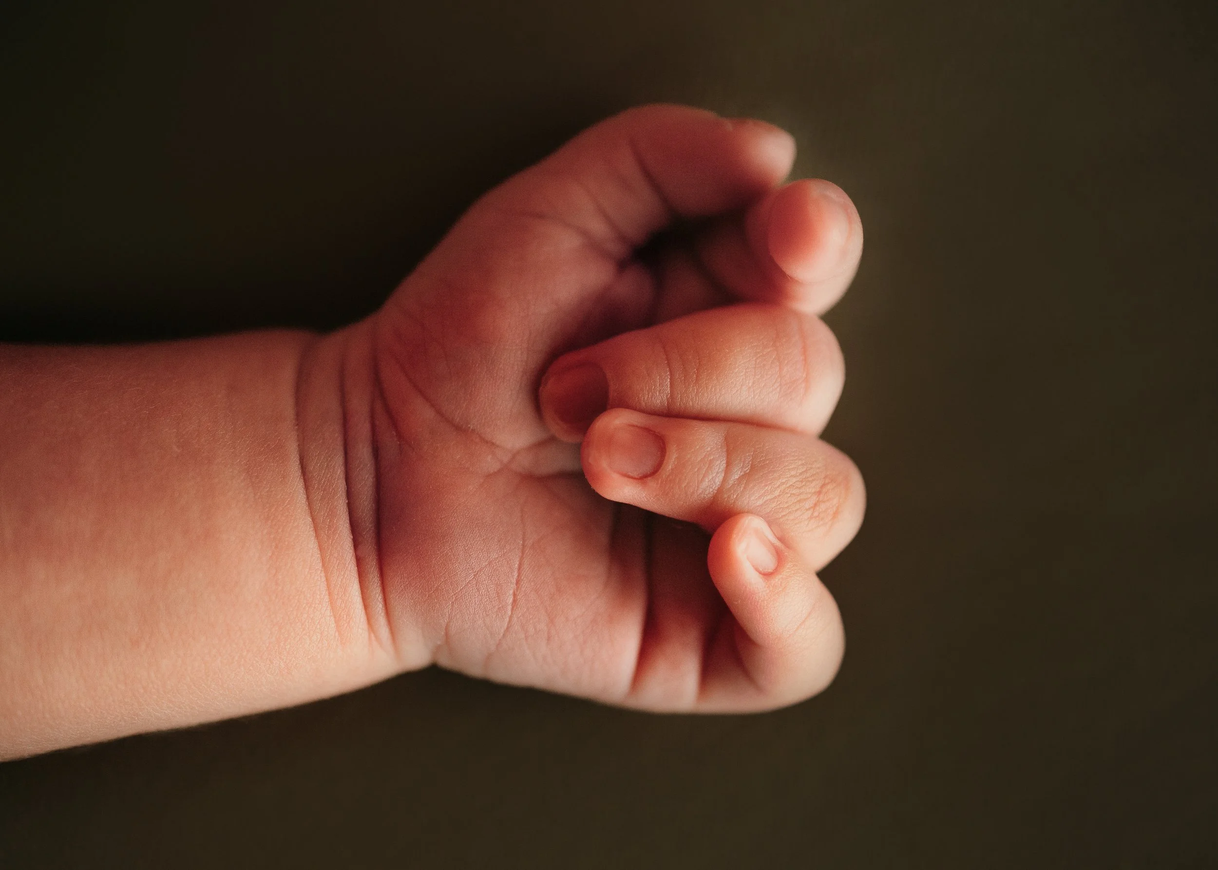 trinity lane photography-gulvin-shepherd-newborn-17.jpg