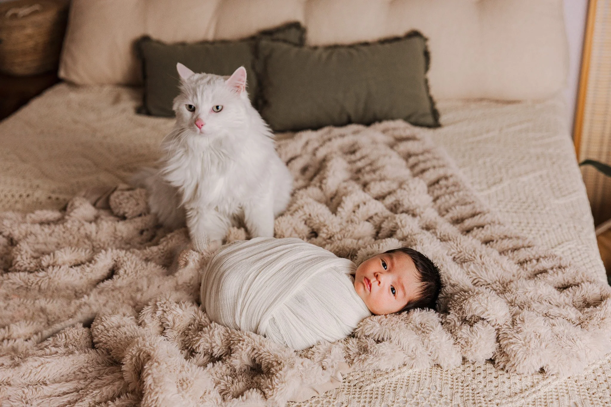 trinity lane photography-ari-newborn-39.jpg