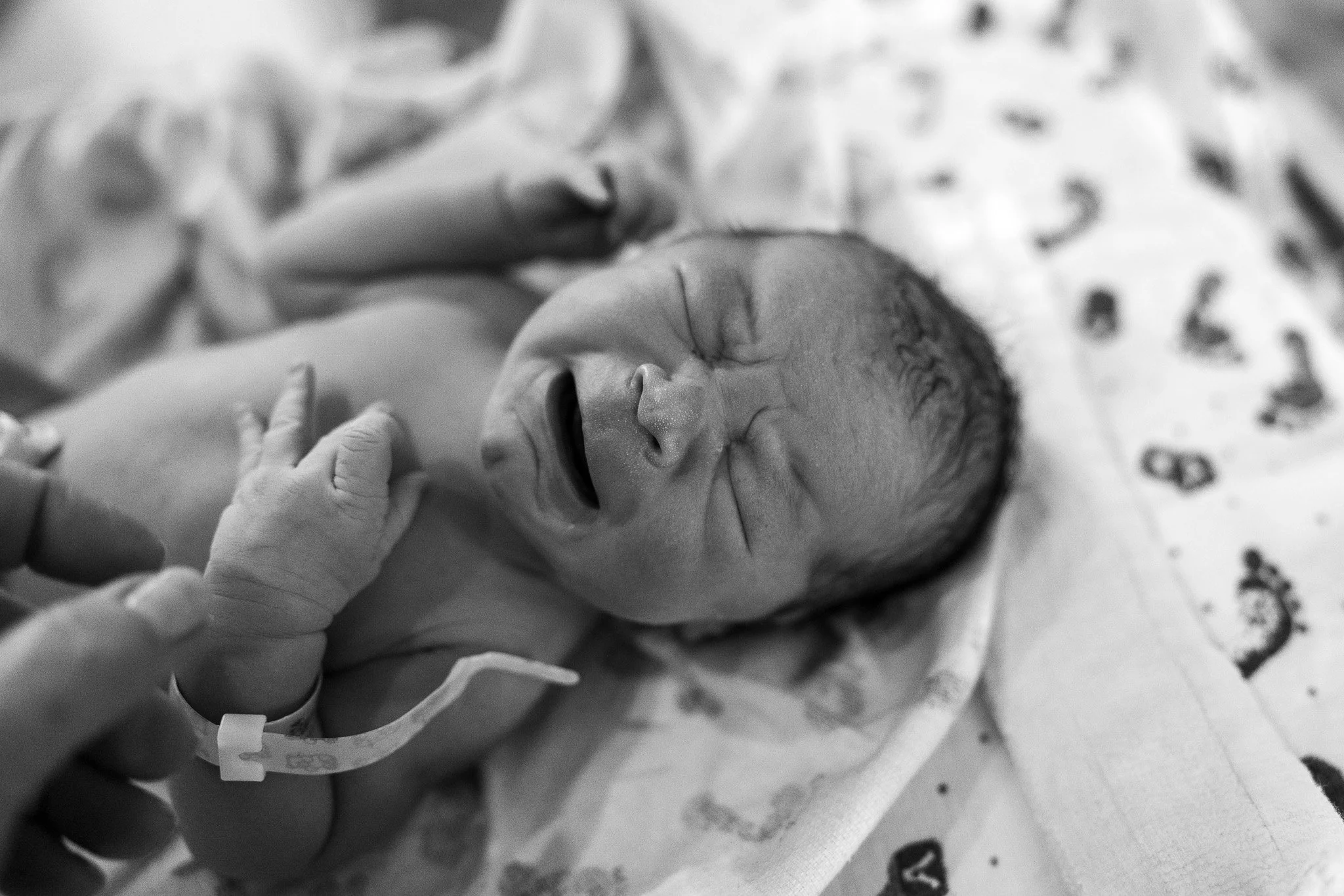 TLP_6629.jpg