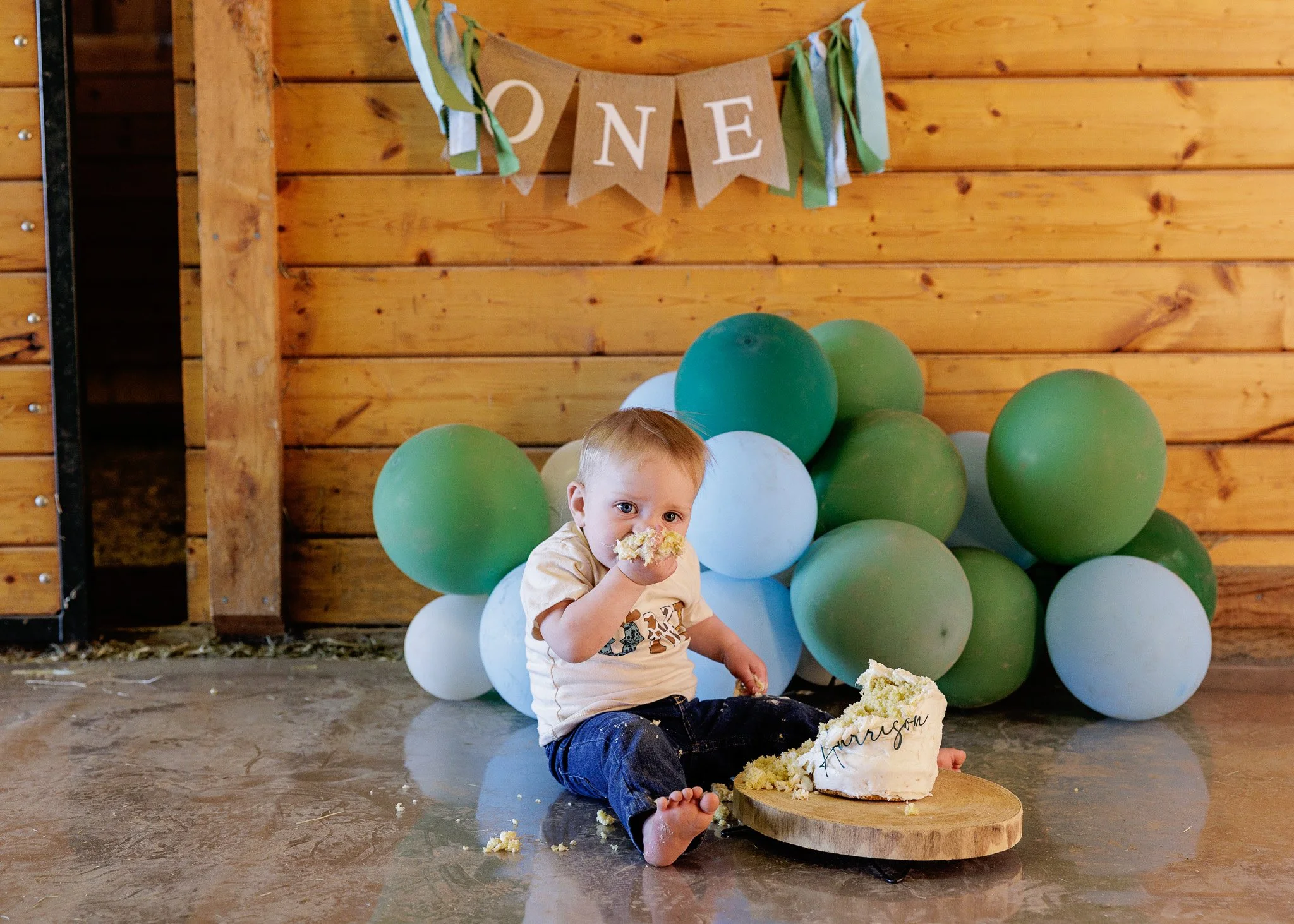 trinity lane photography-harrison-1st-bday-96.jpg