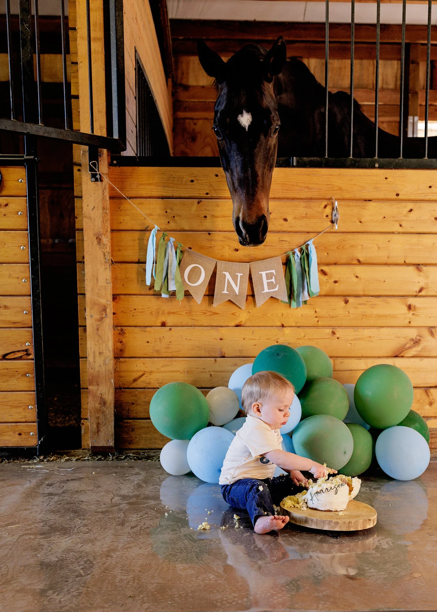 trinity lane photography-harrison-1st-bday-98.jpg