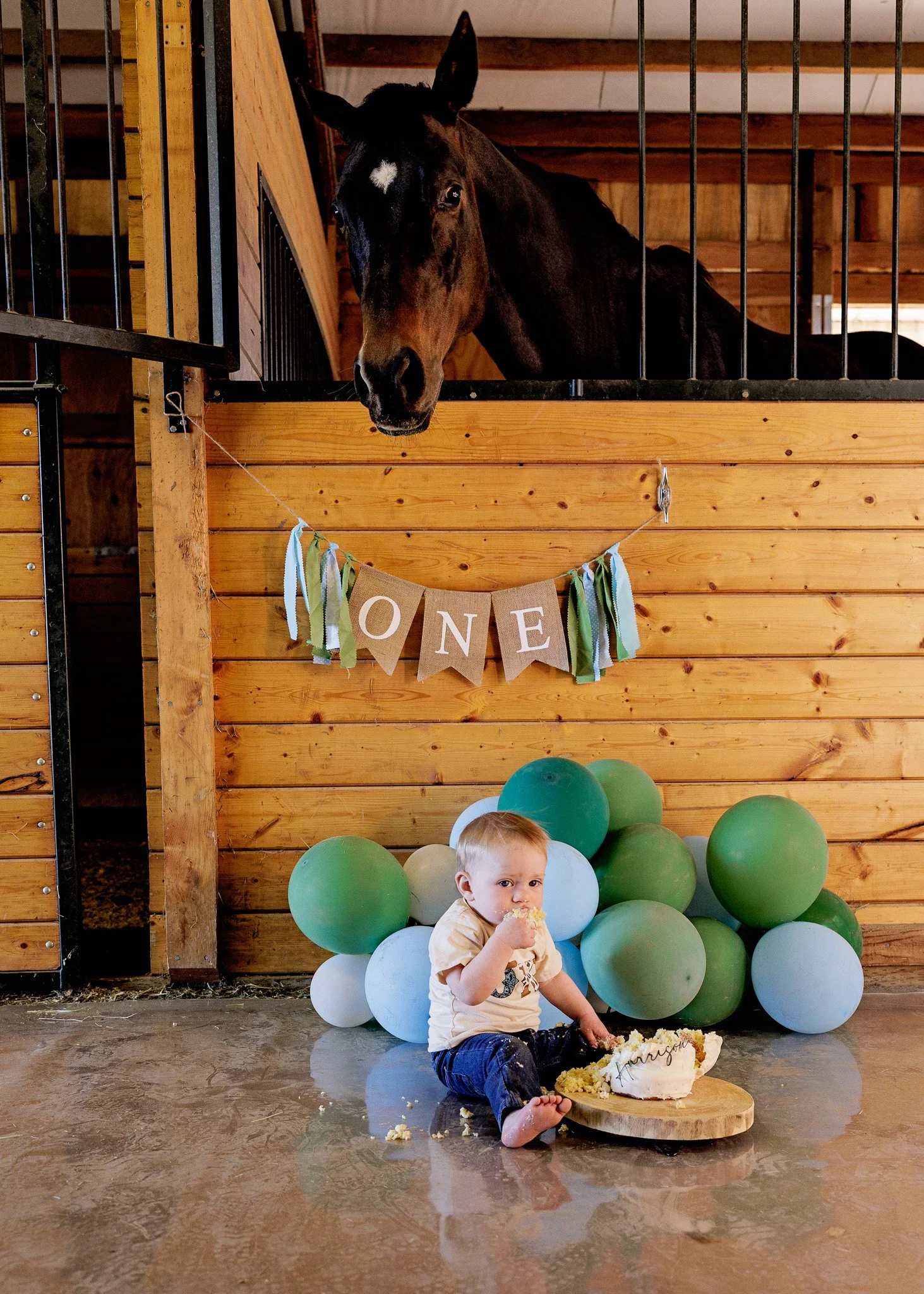 trinity lane photography-harrison-1st-bday-99.jpg