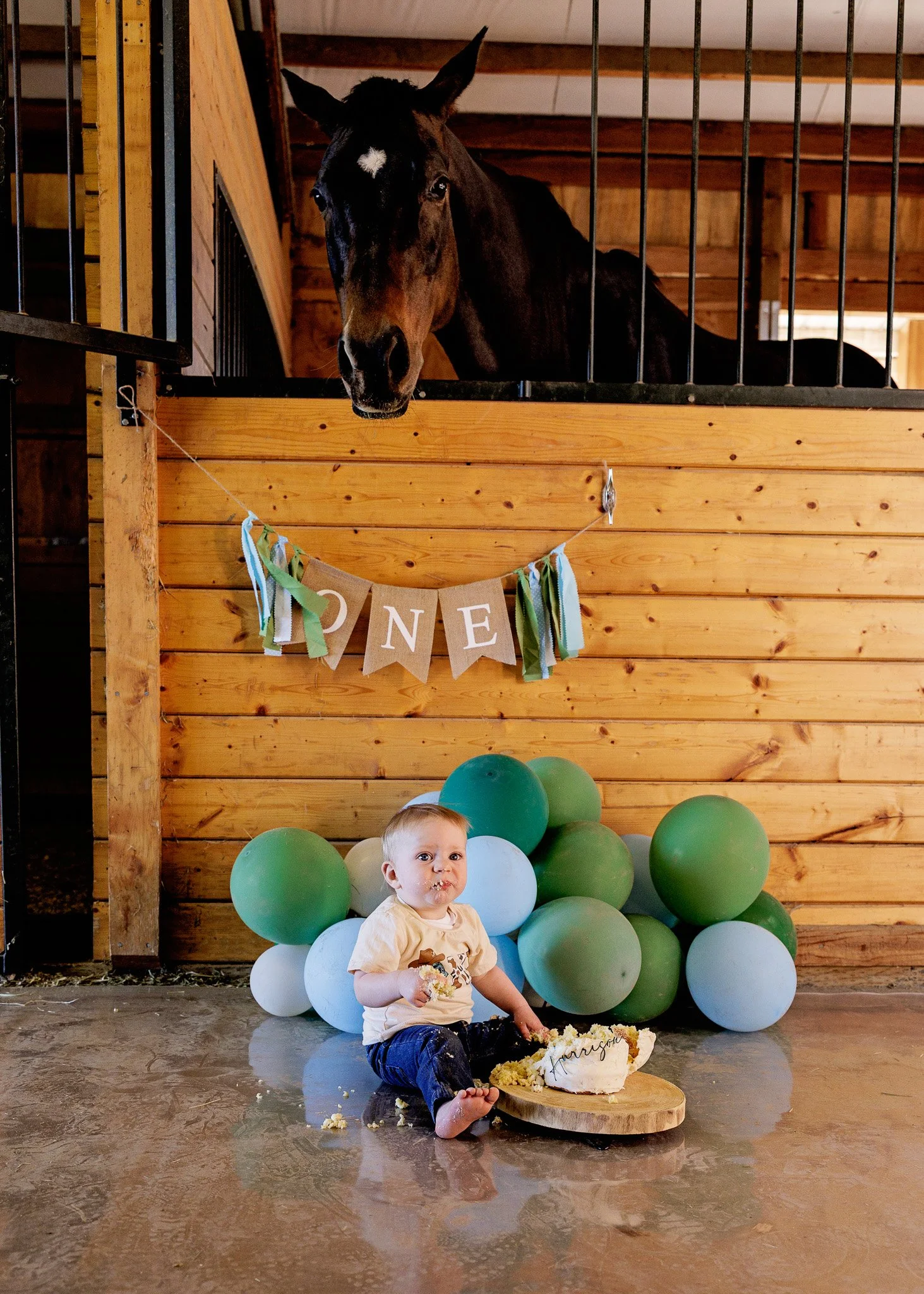 trinity lane photography-harrison-1st-bday-101.jpg