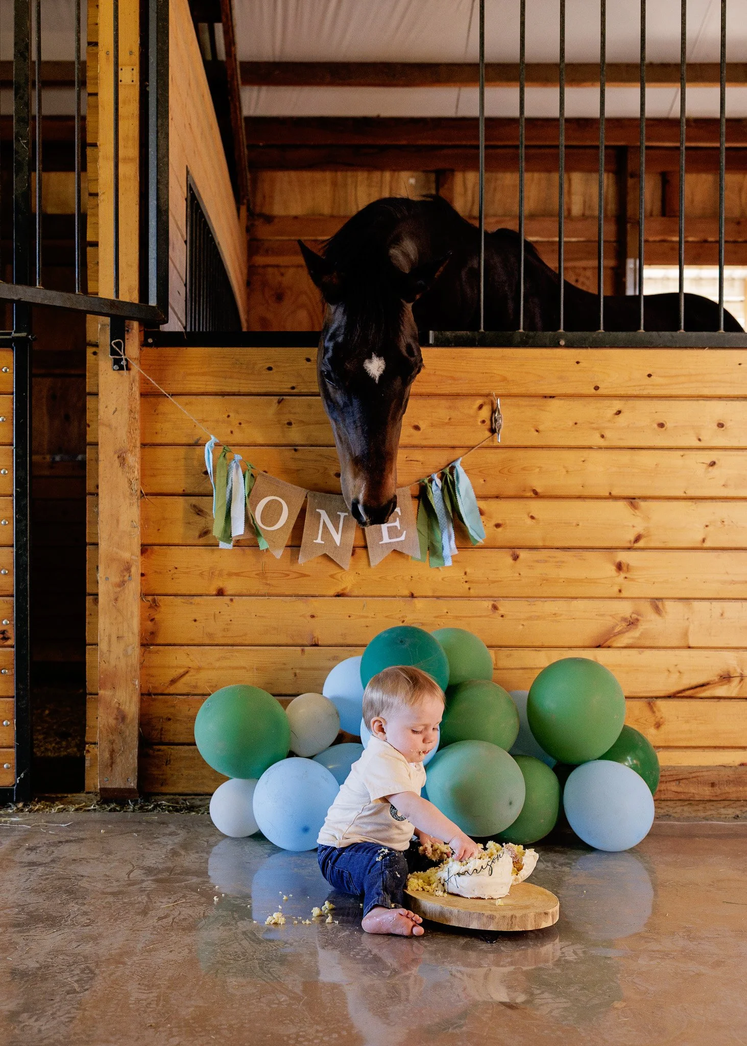 trinity lane photography-harrison-1st-bday-102.jpg