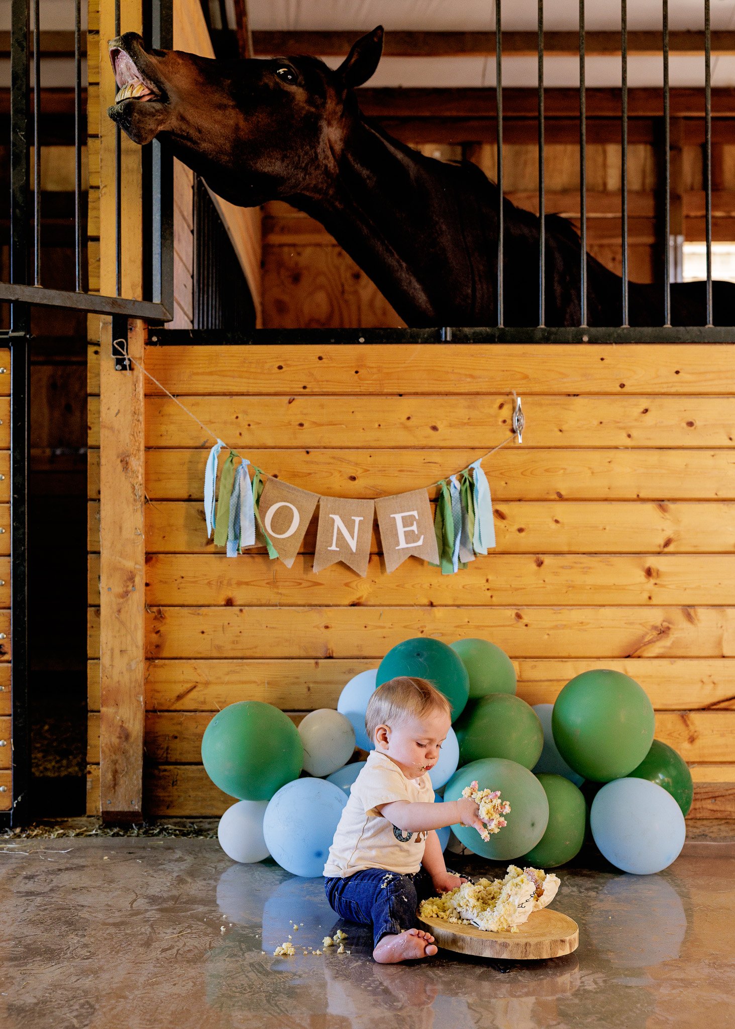 trinity lane photography-harrison-1st-bday-104.jpg