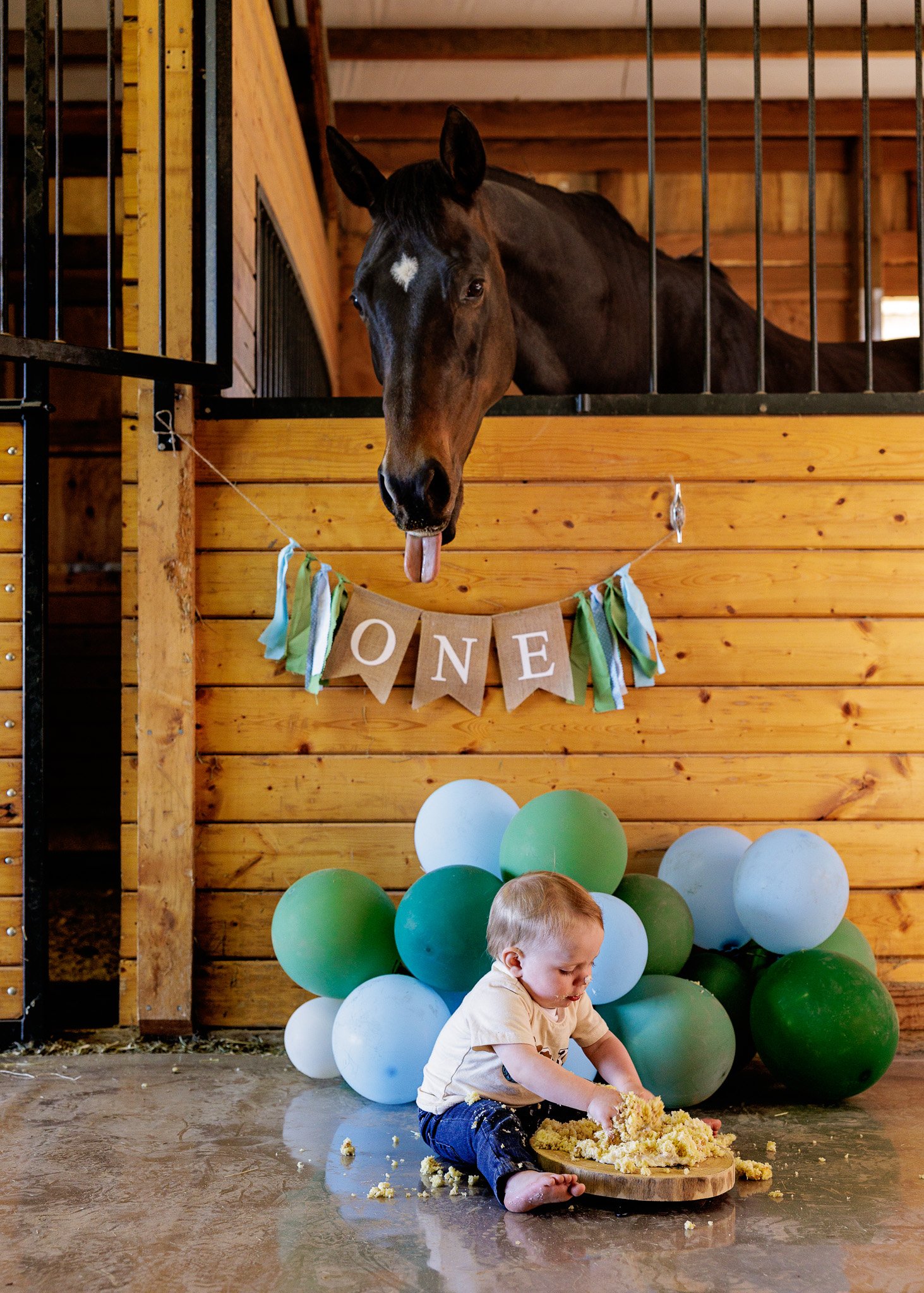 trinity lane photography-harrison-1st-bday-108.jpg
