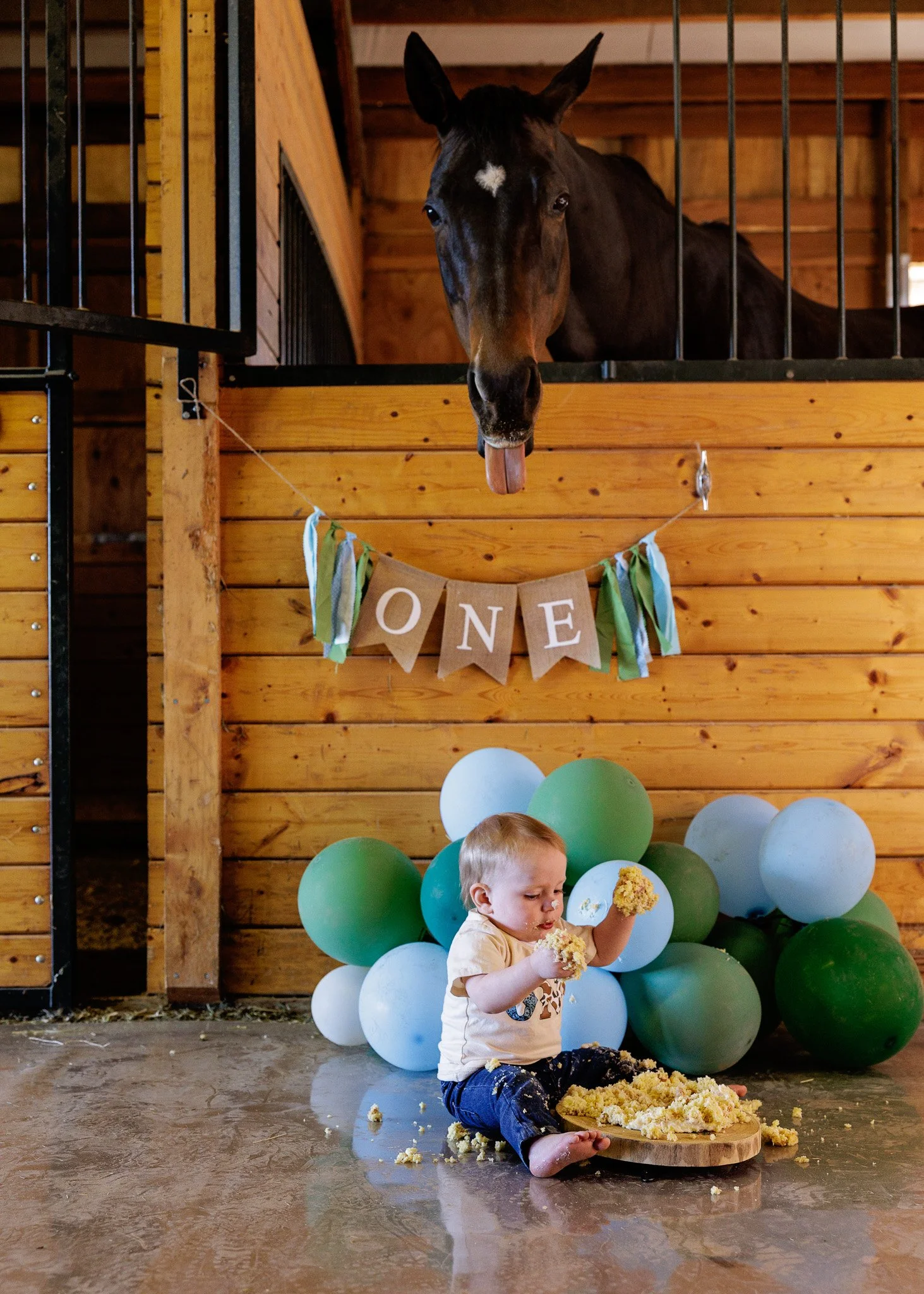 trinity lane photography-harrison-1st-bday-109 (1).jpg