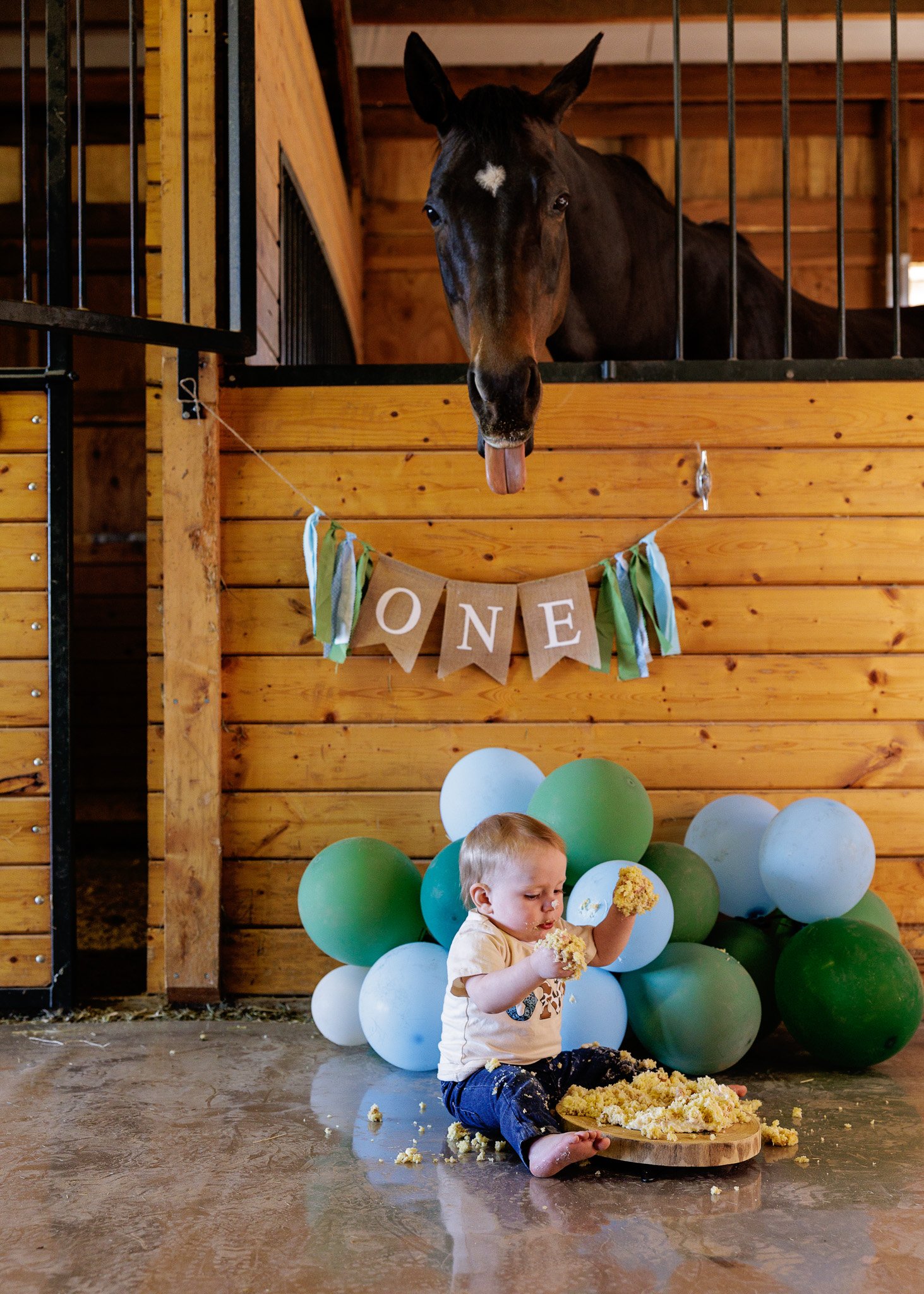 Horsing Around